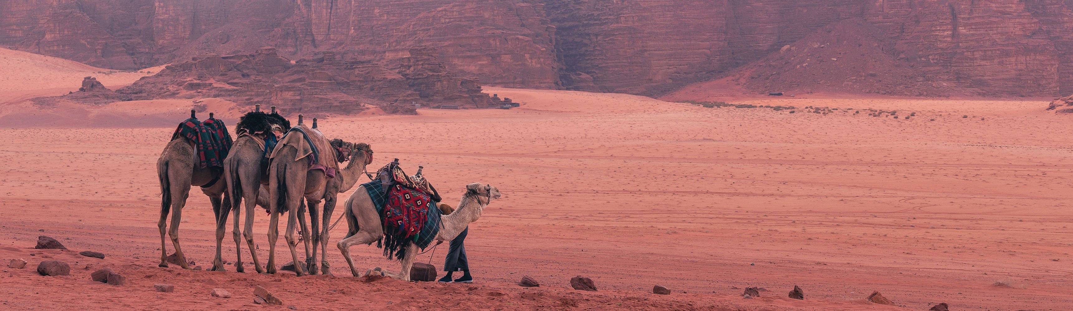 Viaggi nel deserto in Giordania