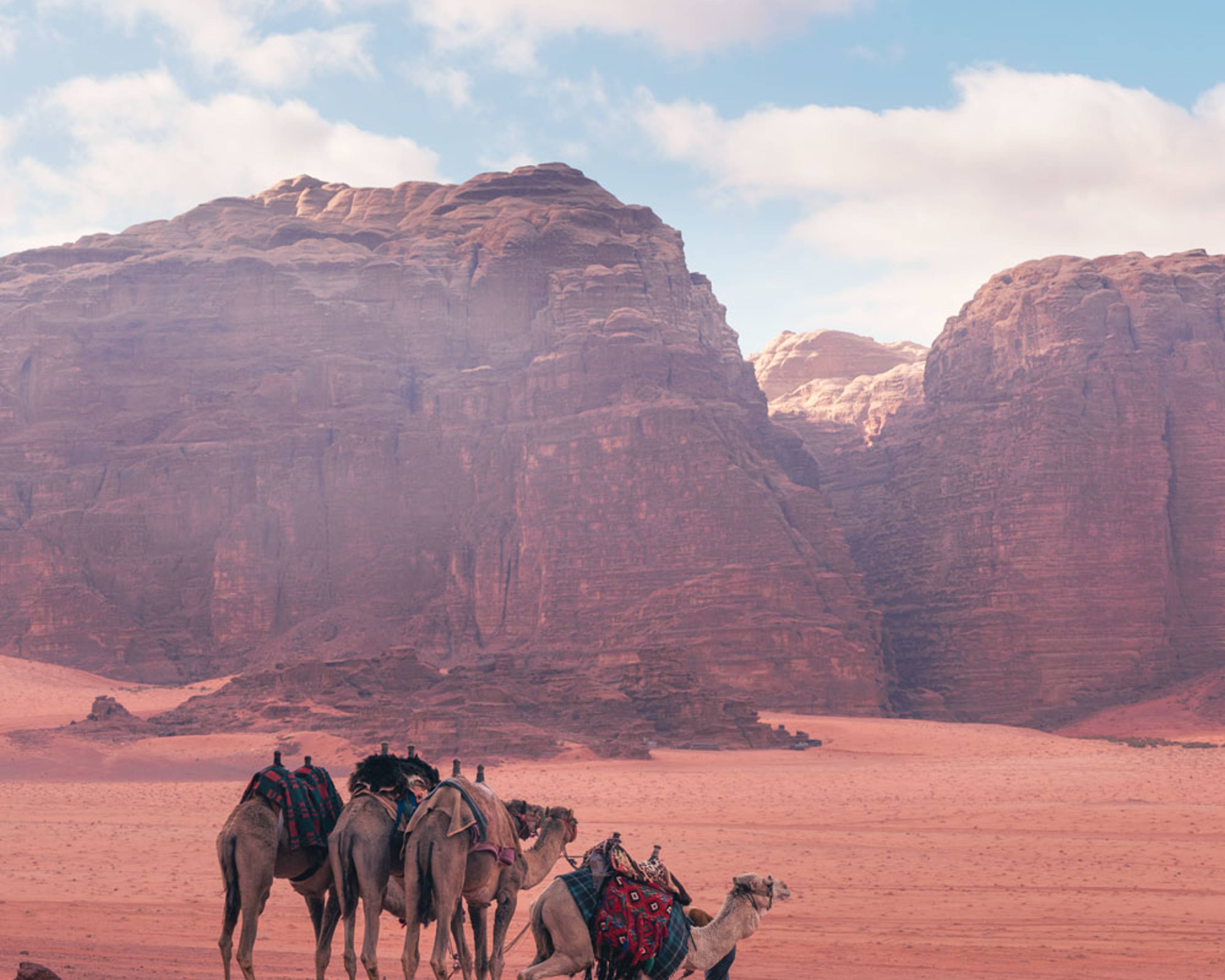 Crea il tuo viaggio su misura nel deserto in Giordania