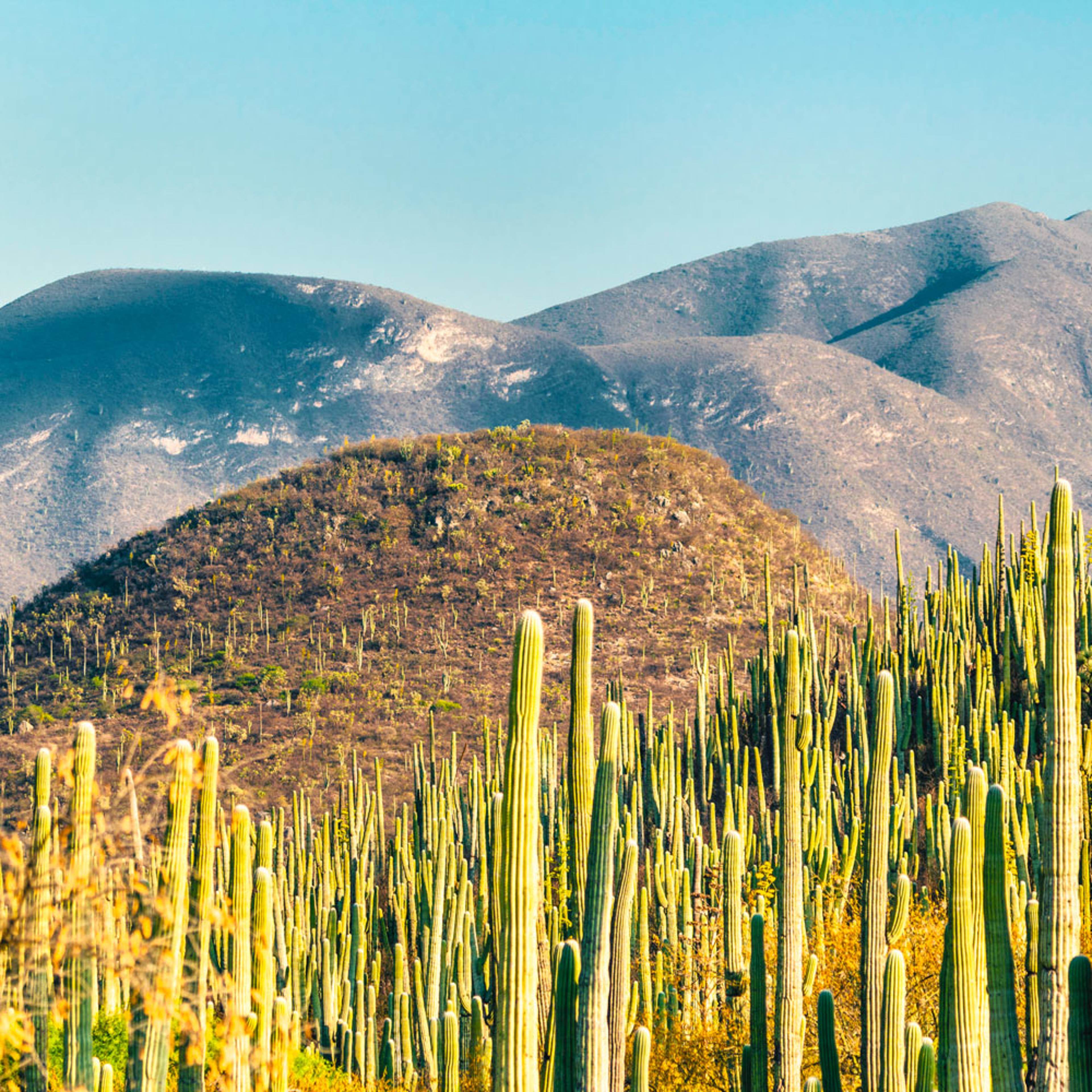 Crea il tuo viaggio su misura nel deserto in Messico