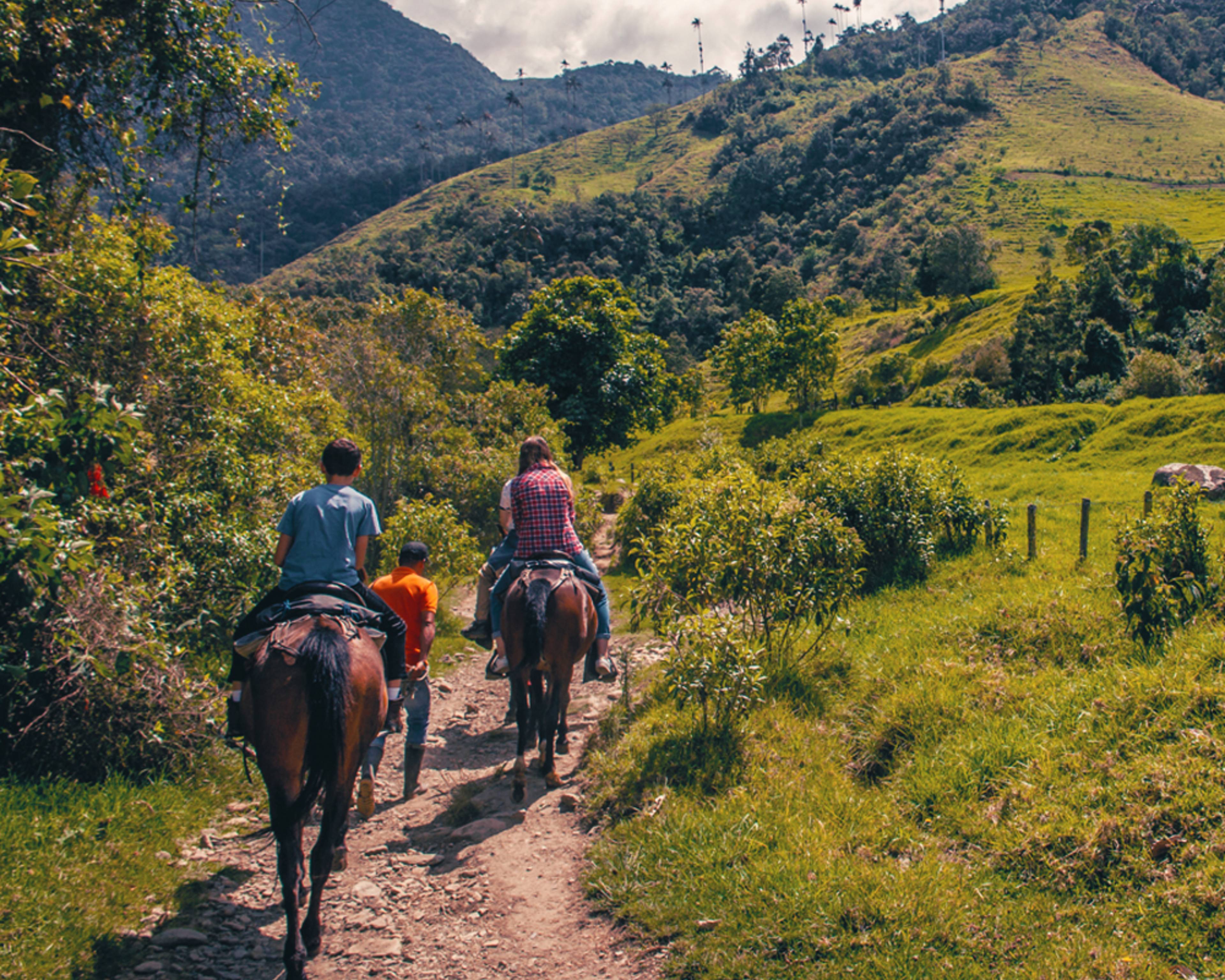 Design your perfect adventure trip with a local expert in Colombia