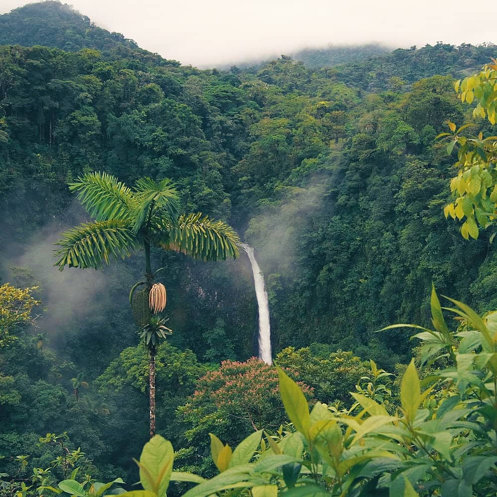 Design your perfect rainforest tour with a local expert in Costa Rica