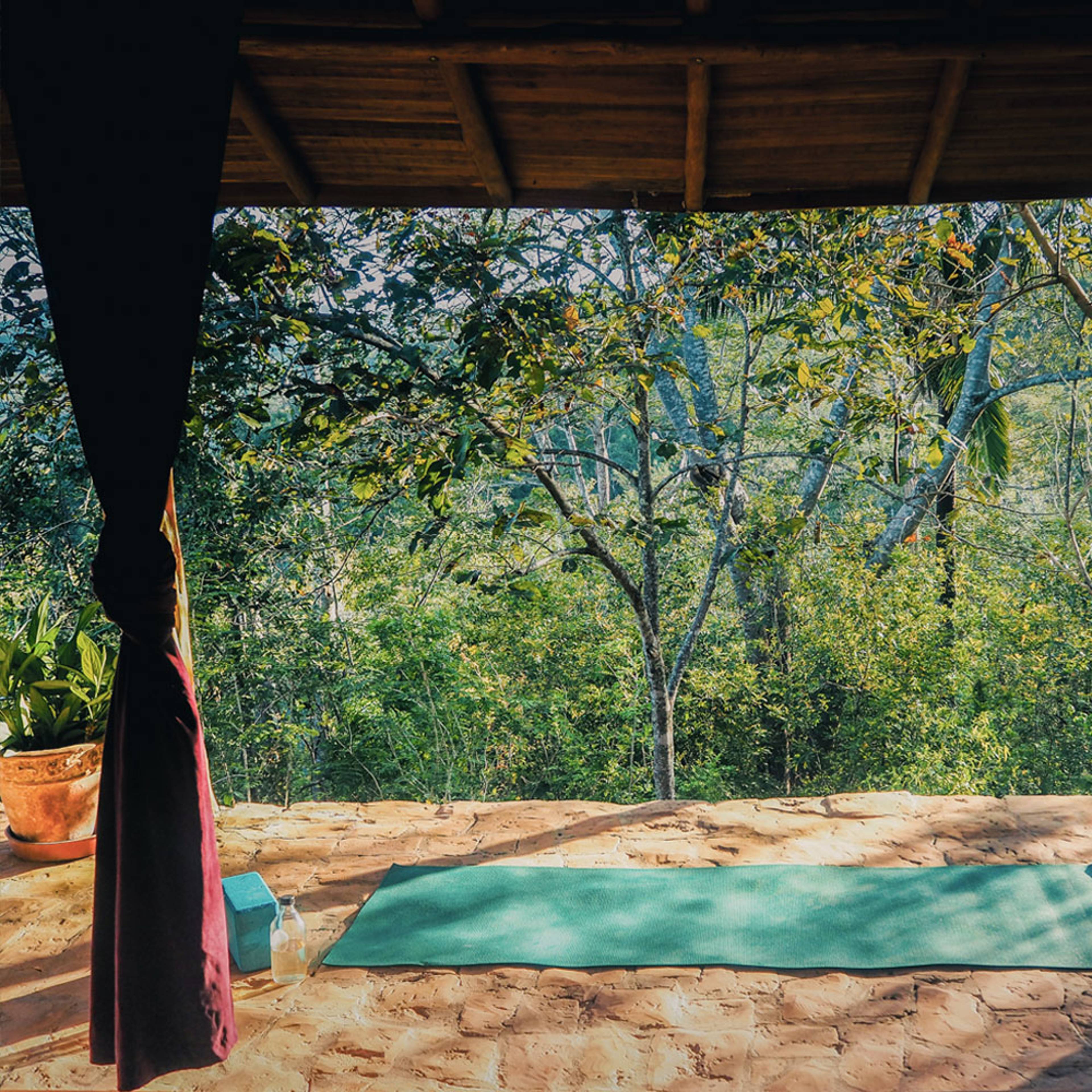 Experience yoga in Costa Rica with a hand-picked local expert