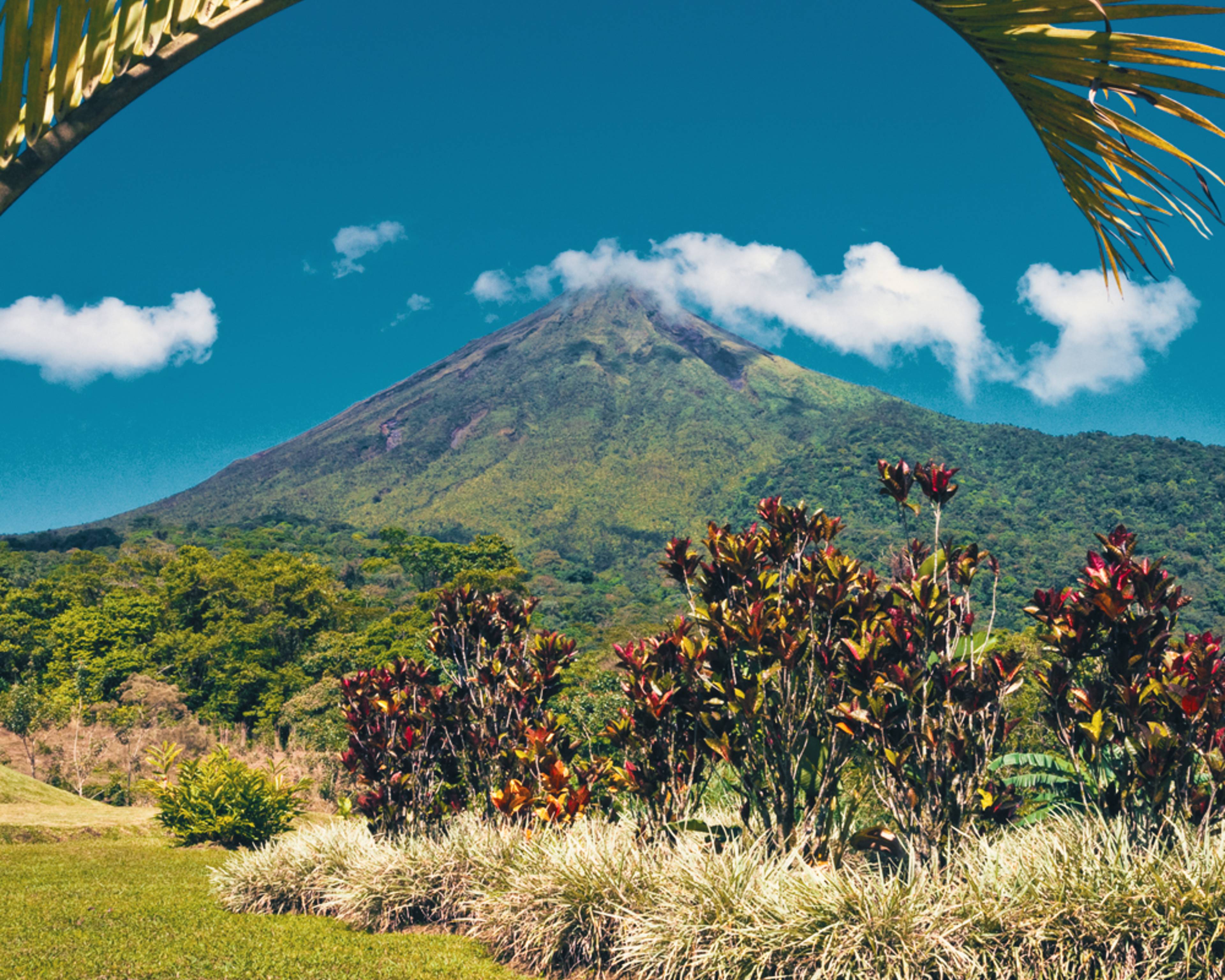 Design your perfect summer vacation in Costa Rica with a local expert