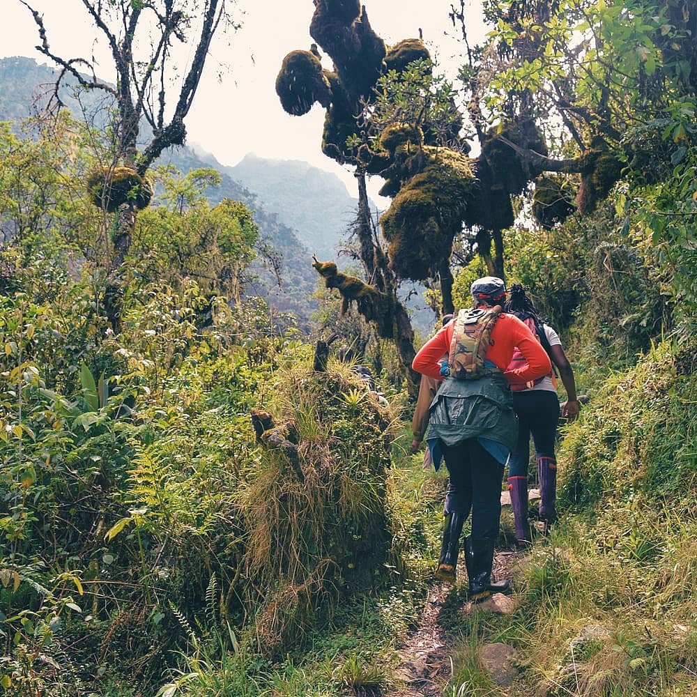Trekking ed escursioni in Uganda 100% su misura