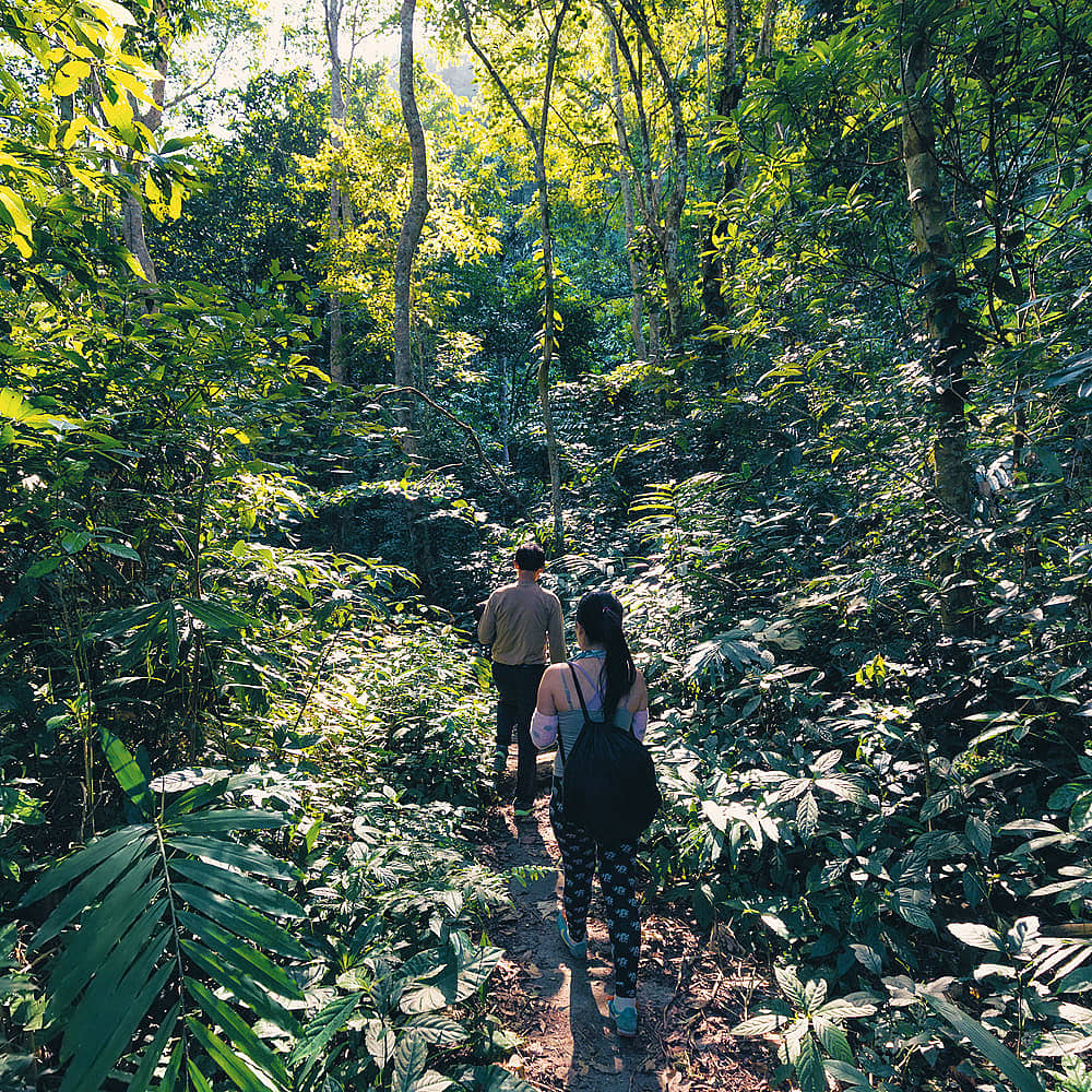 Design your perfect rainforest tour with a local expert in Vietnam