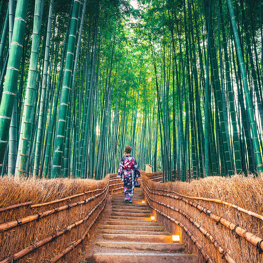 Design your perfect solo trip with a local expert in Japan