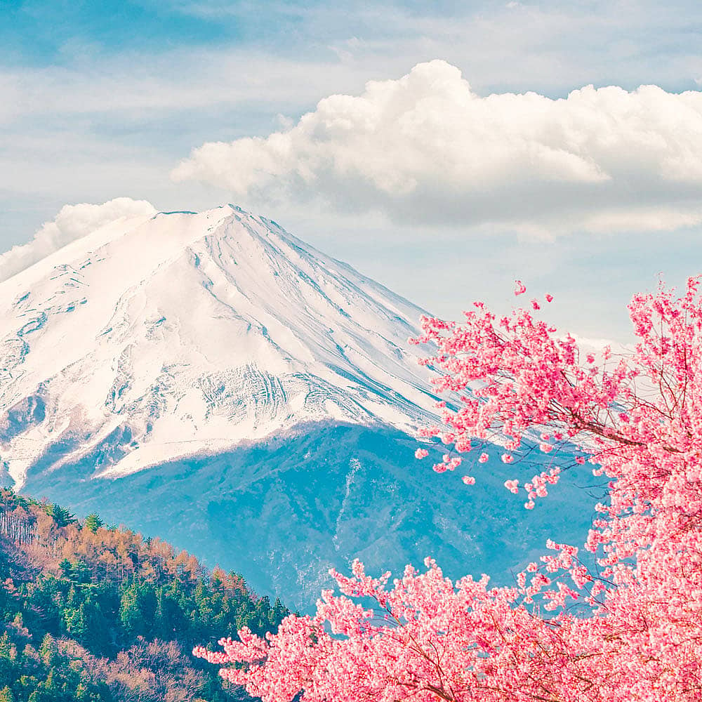 Spring Vacations to Japan | Tailor-Made Travel