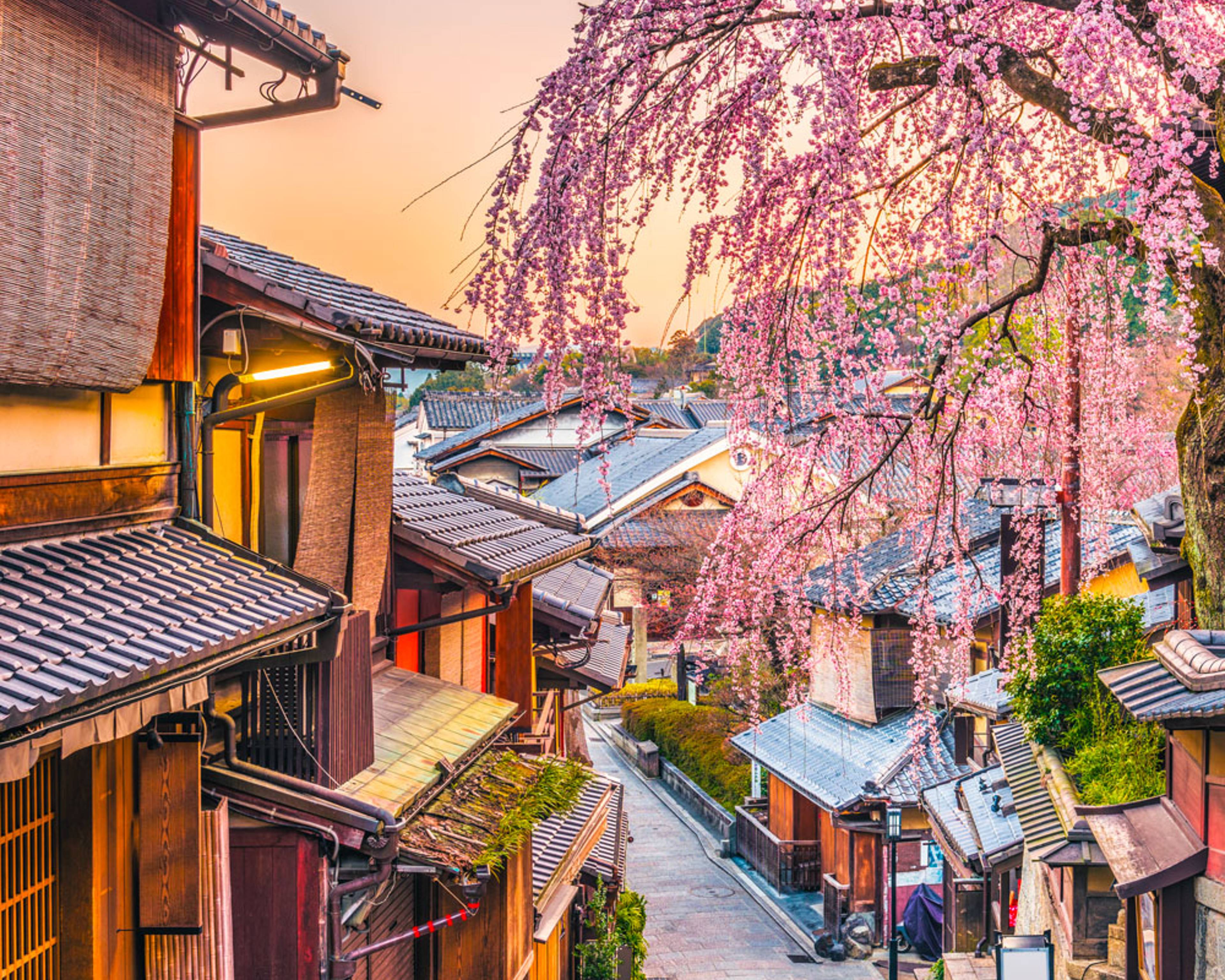 Design your perfect tour of Japan's cities with a local expert