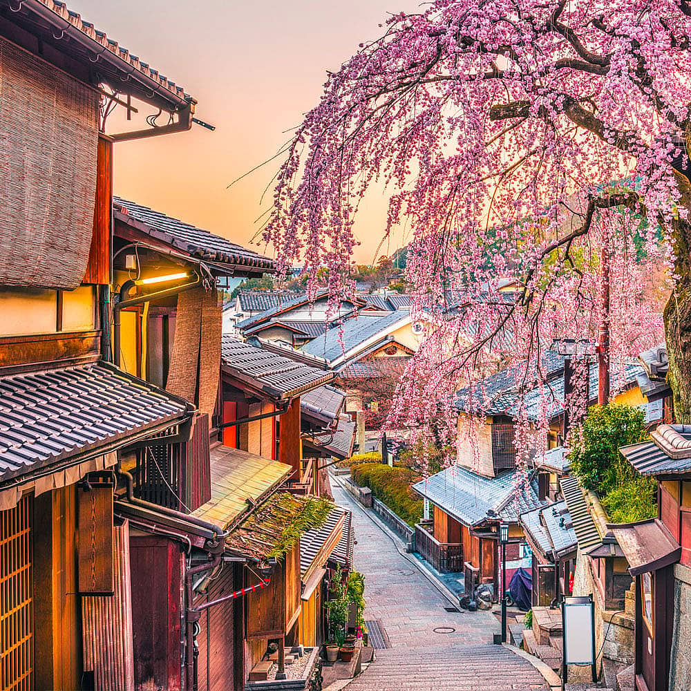 Design your perfect tour of Japan's cities with a local expert