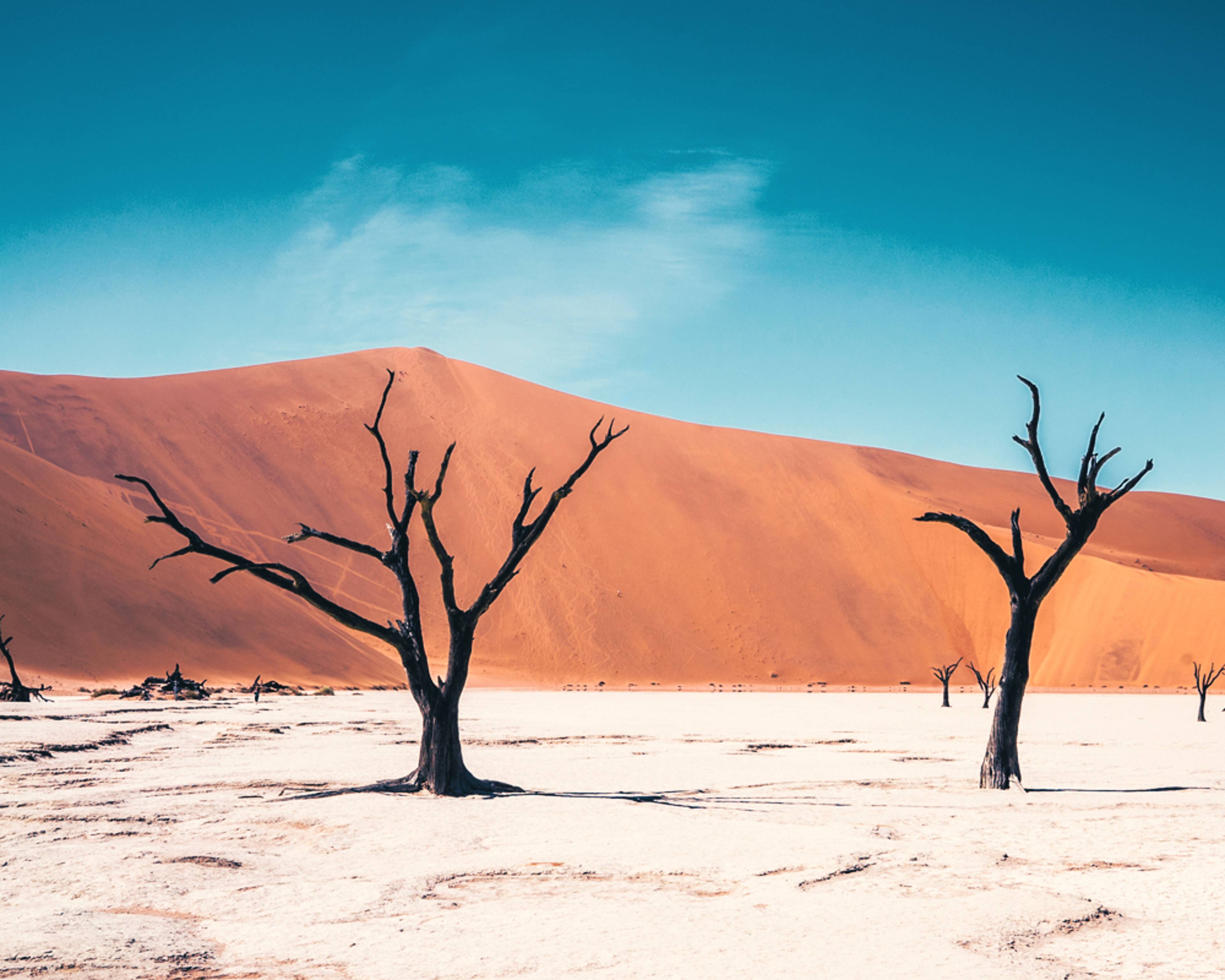 Design your perfect spring vacation in Namibia with a local expert