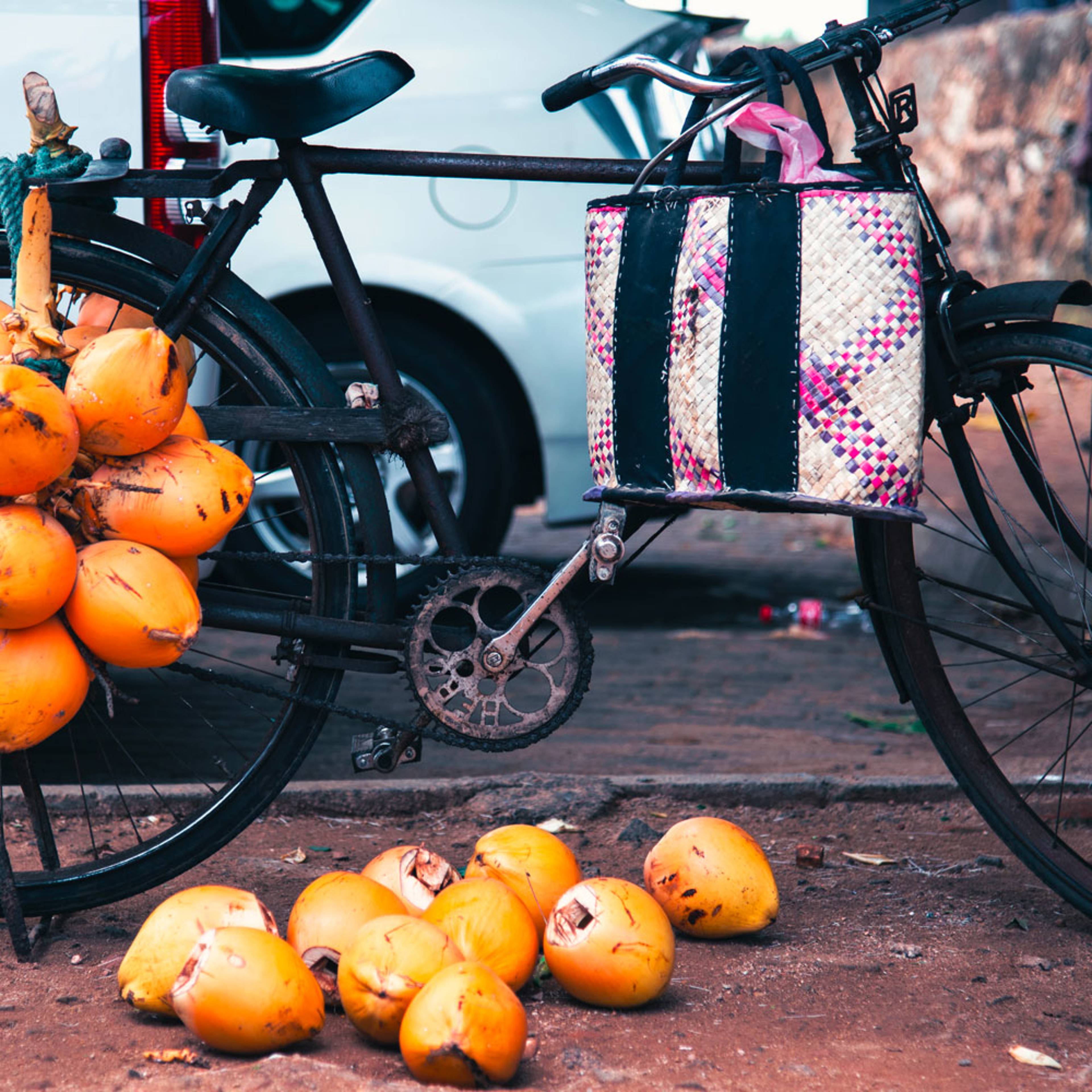 Design your perfect cycling trip with a local expert in Sri Lanka