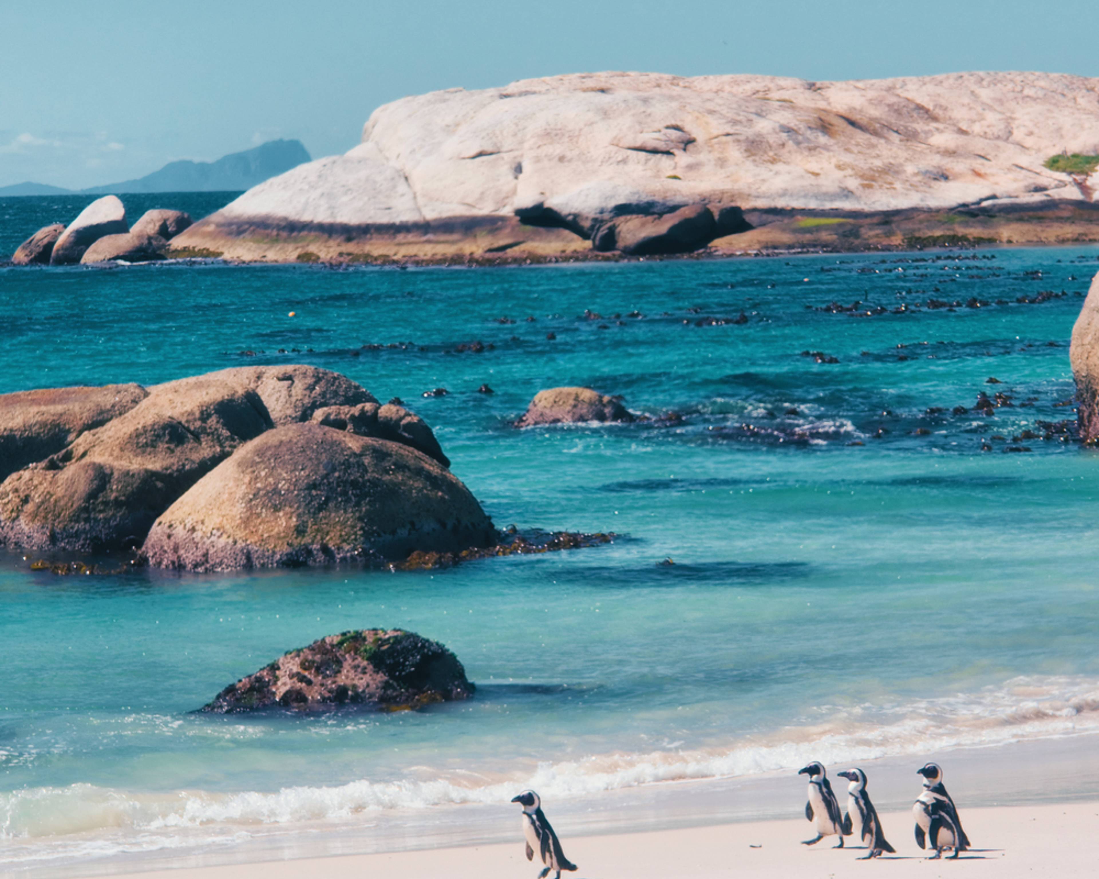 Design your perfect summer vacation in South Africa with a local expert