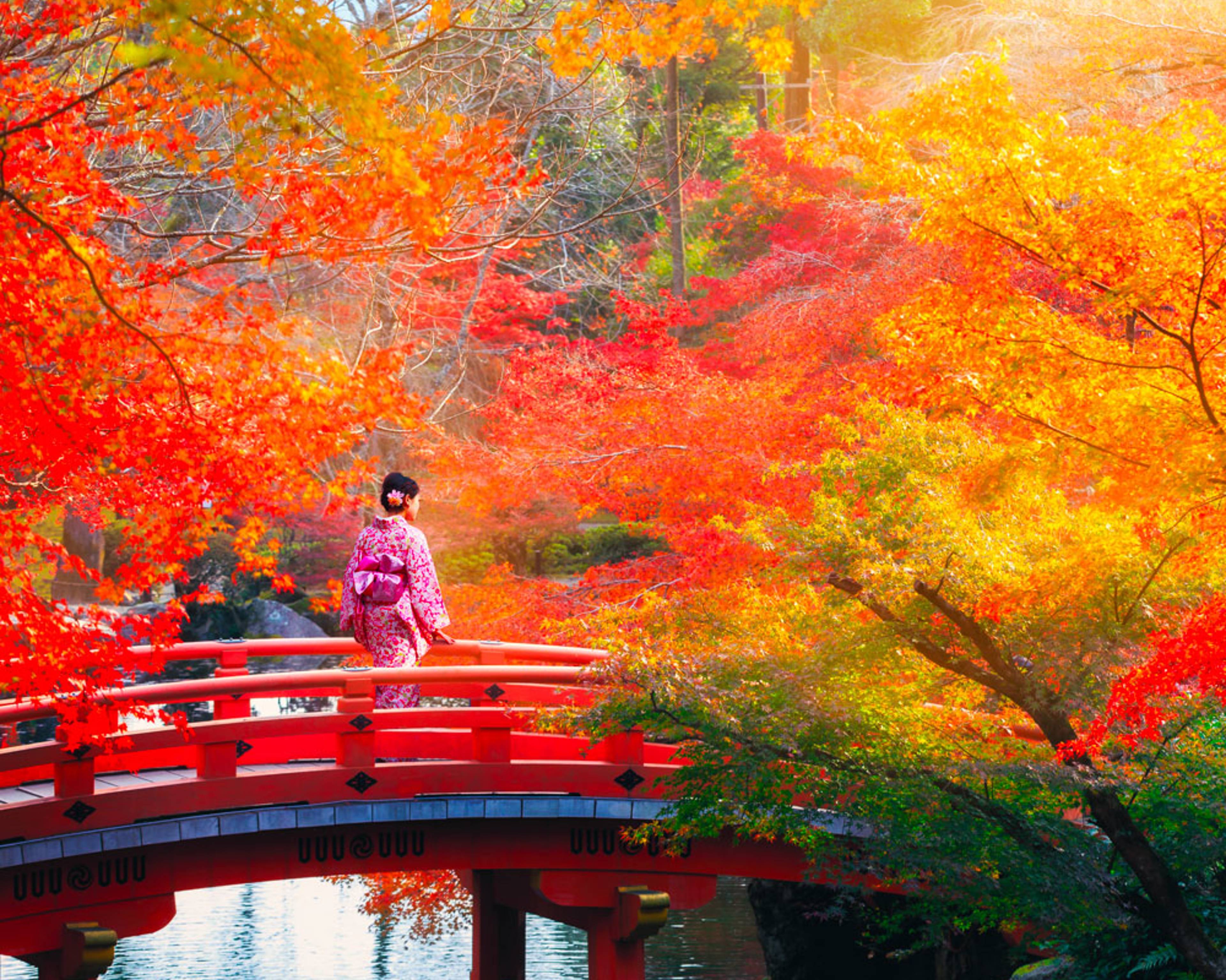 Crea il tuo viaggio in Giappone in autunno, 100% su misura