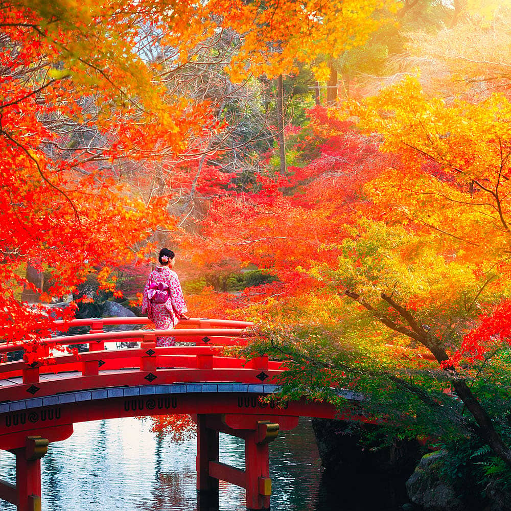 Crea il tuo viaggio in Giappone in autunno, 100% su misura