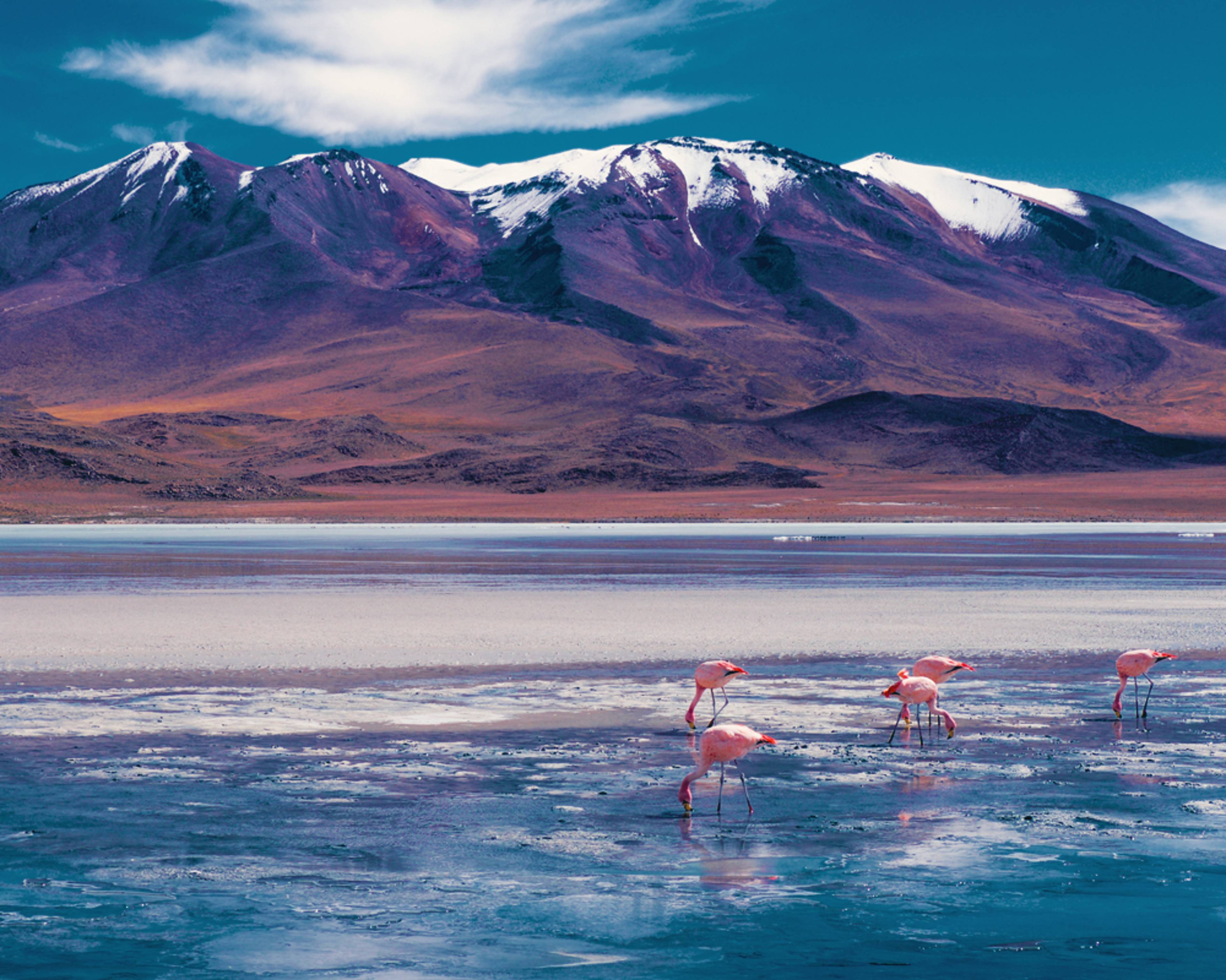 Crea il tuo viaggio in Bolivia in inverno, 100% su misura