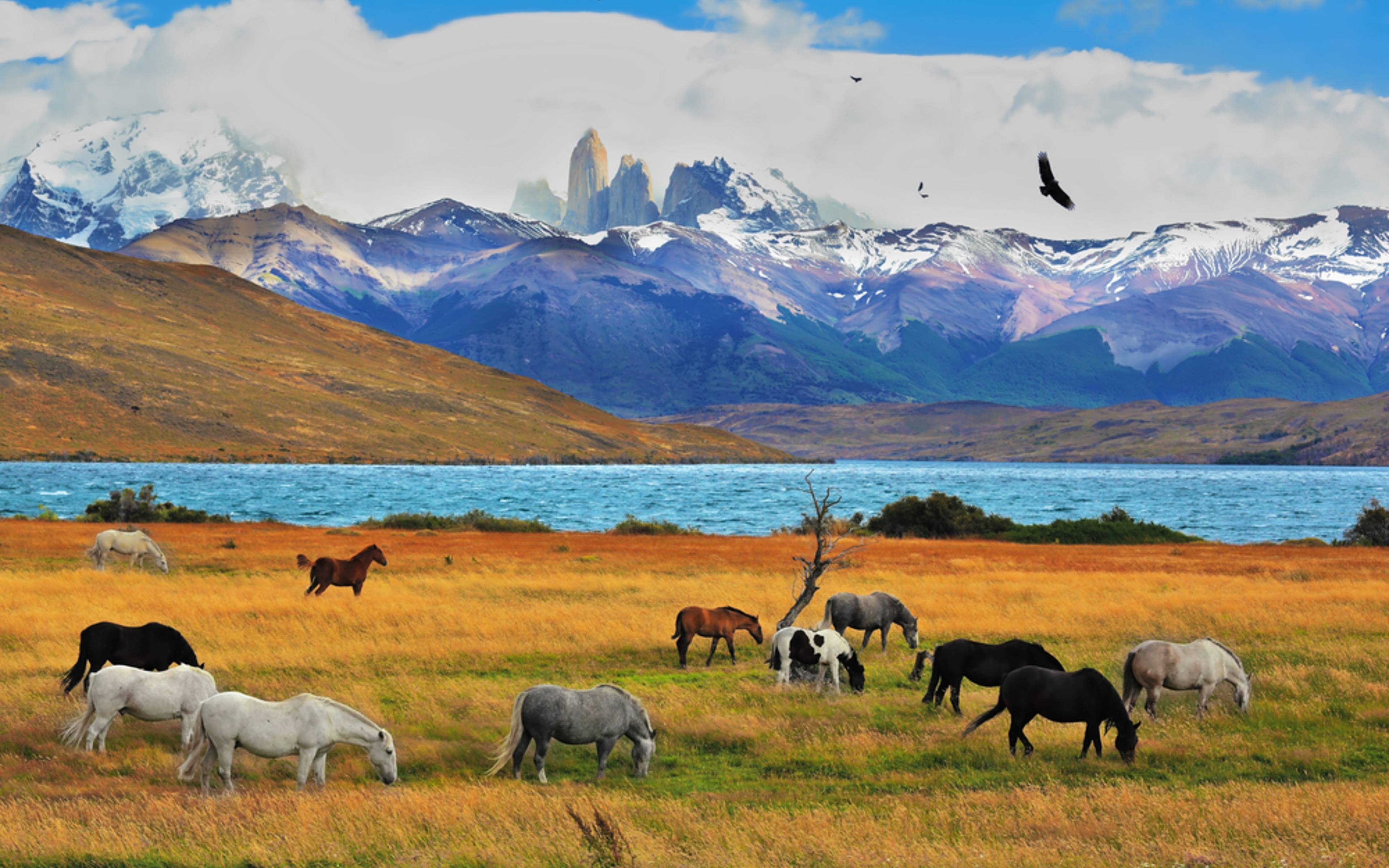 Torres del Paine-Nationalpark - Laguna Azul