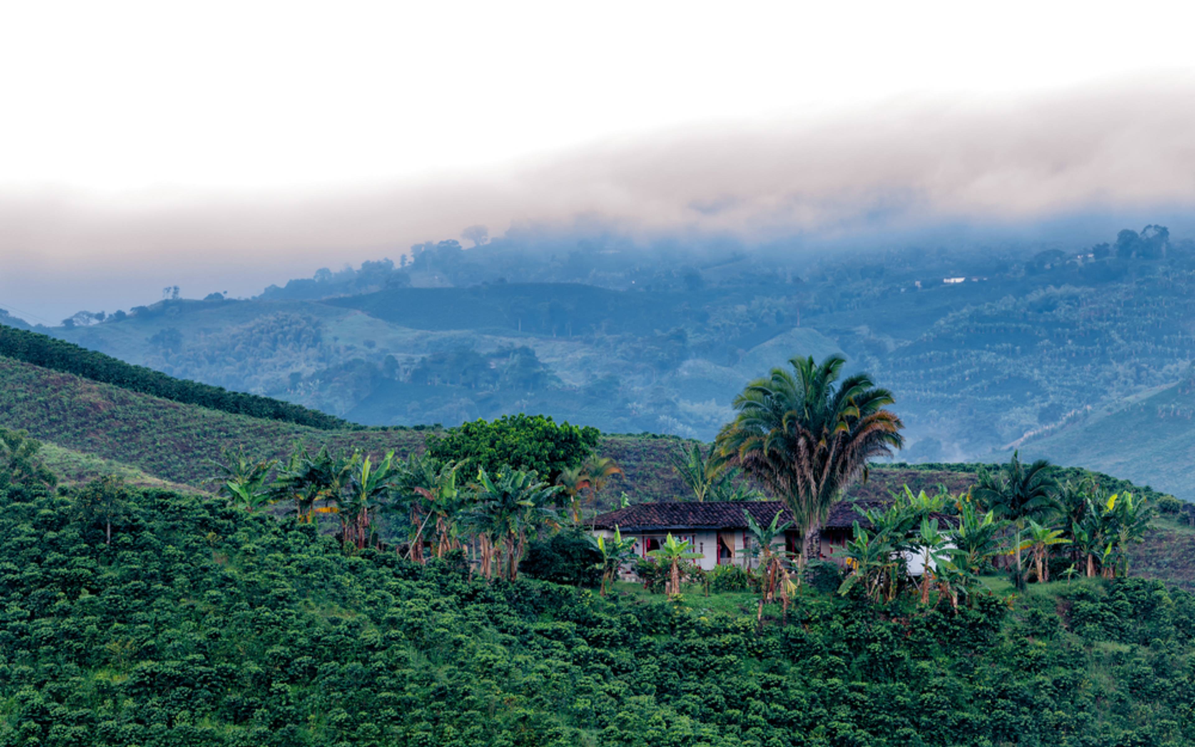 Die Kaffee-Hacienda in Manizales