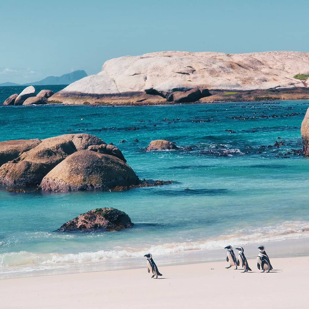 Crea tu viaje a Sudáfrica en verano 100% a medida