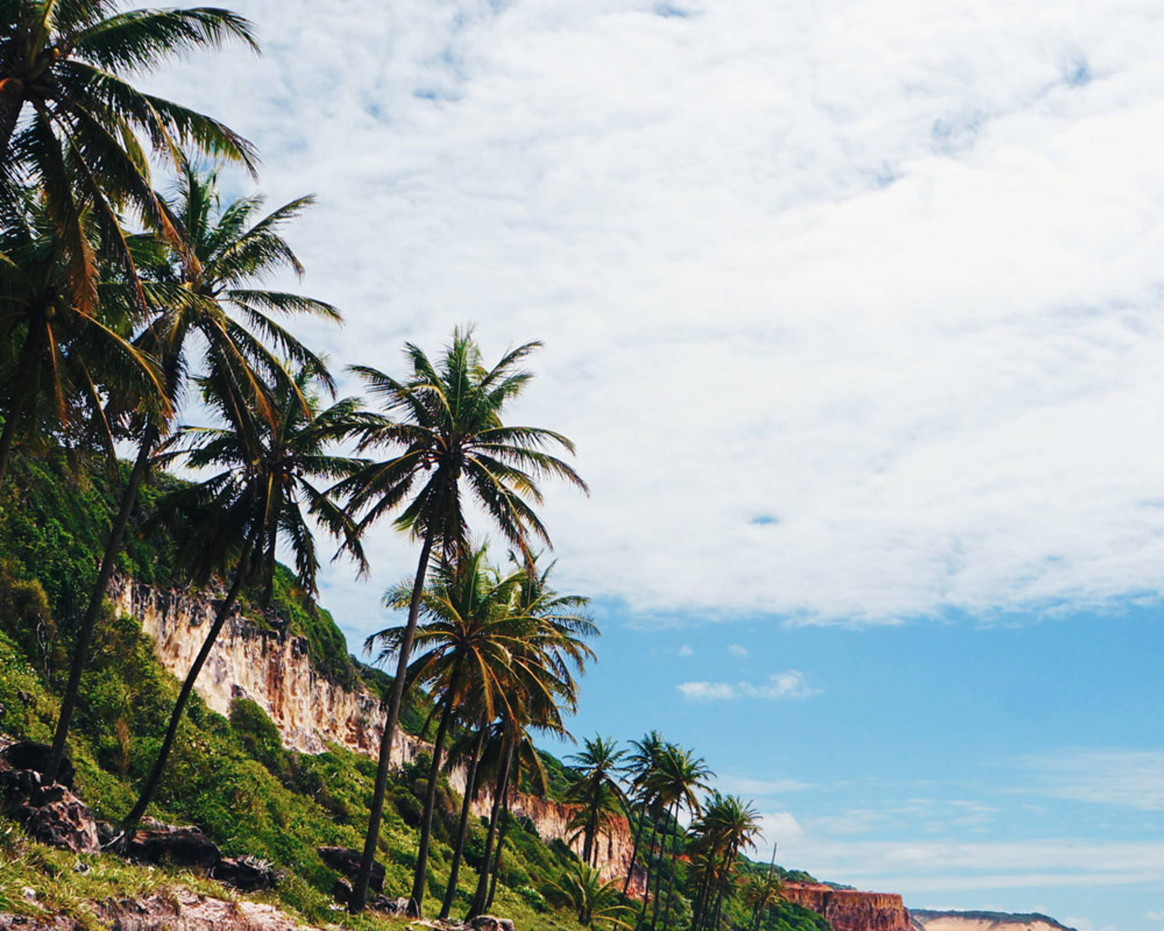 Crea tu viaje a Brasil en verano 100% a medida
