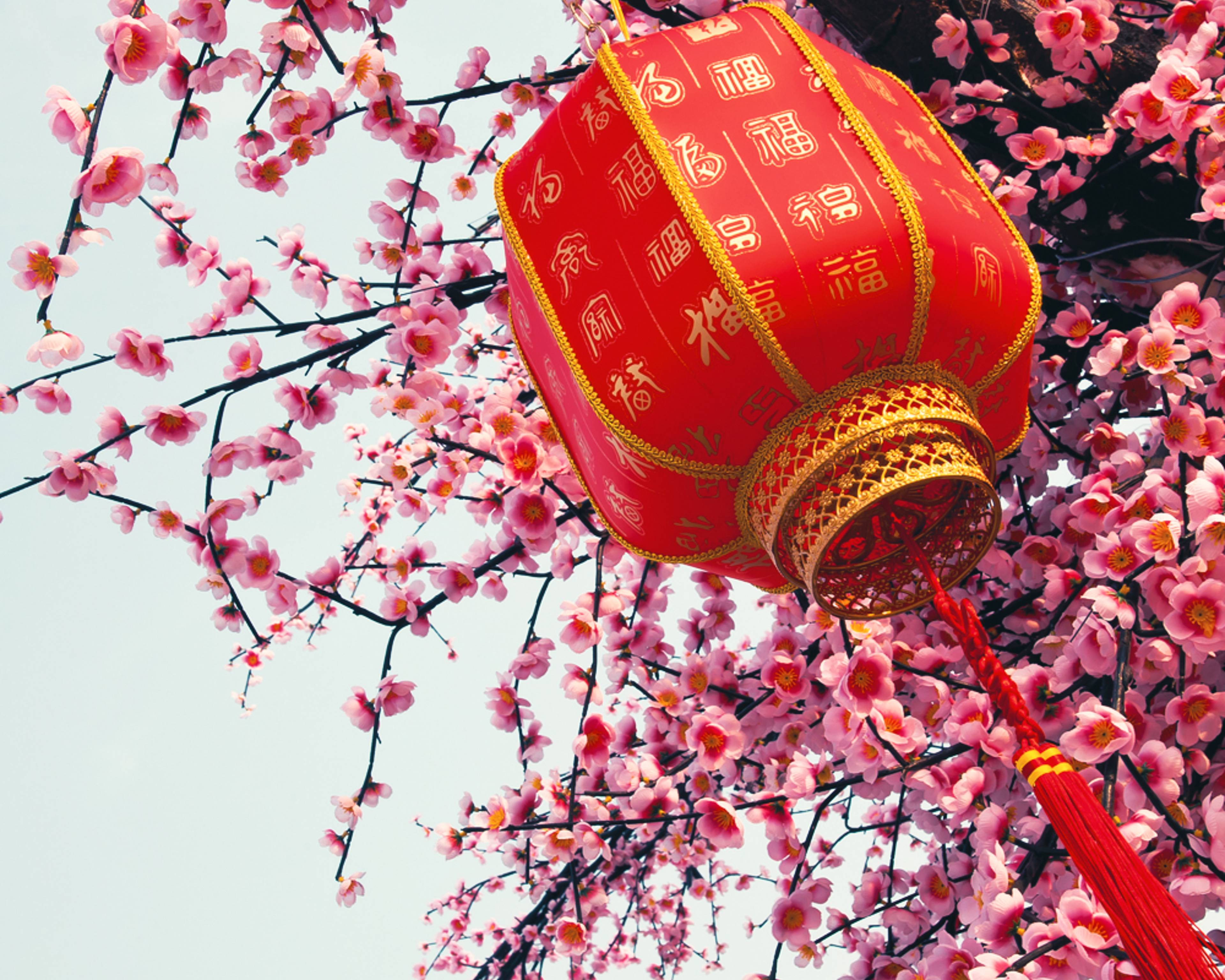 Viajes a China en primavera