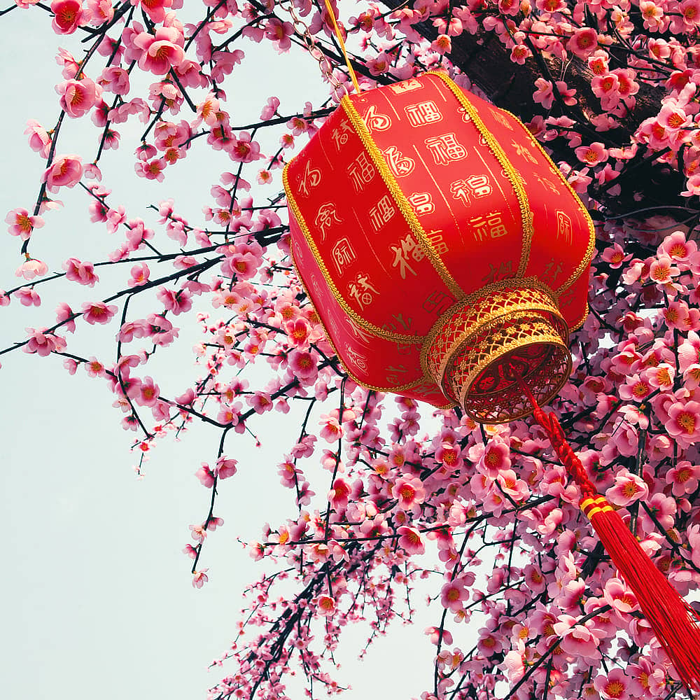 Crea tu viaje a China en primavera 100% a medida