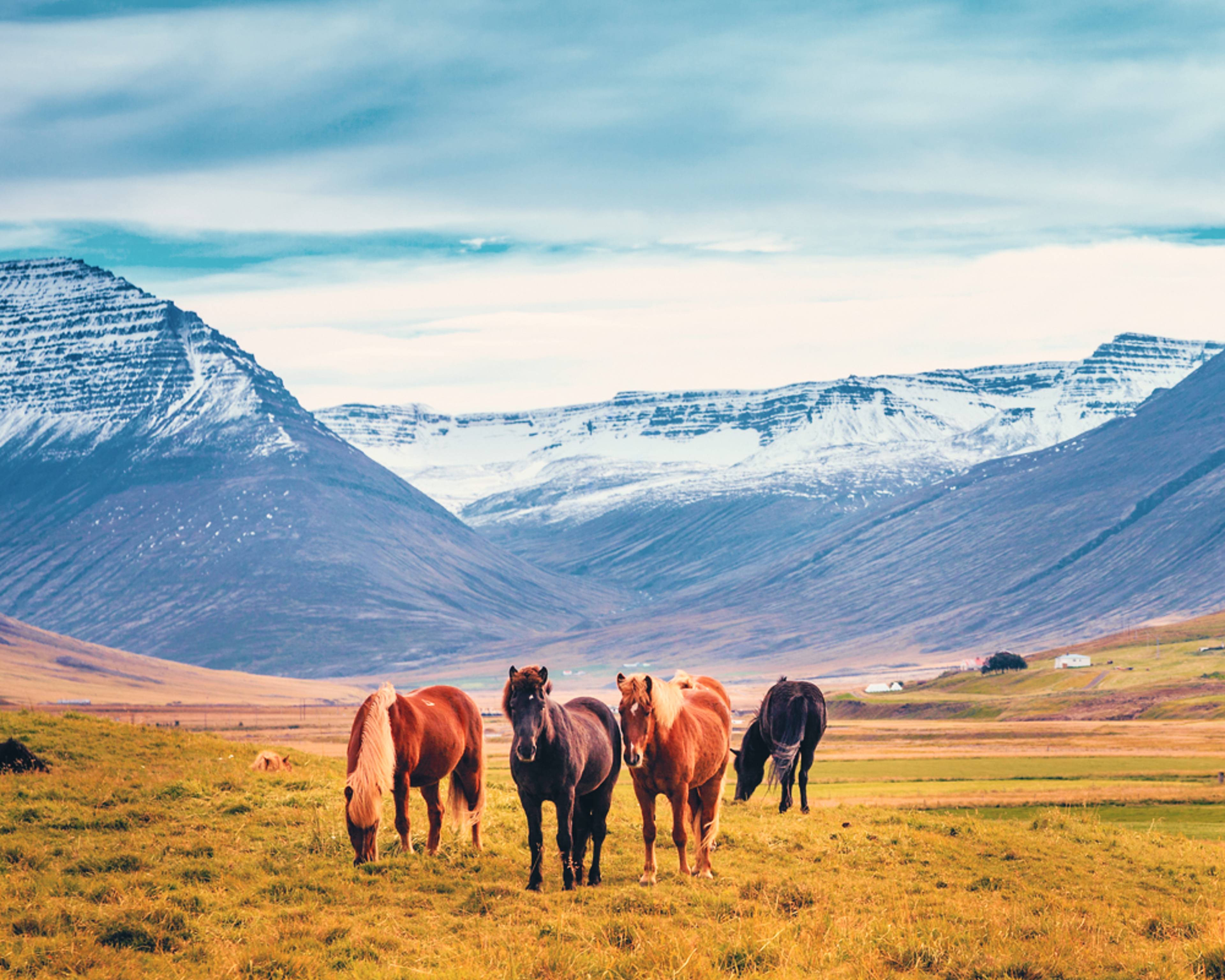 Crea tu viaje a Islandia en primavera 100% a medida