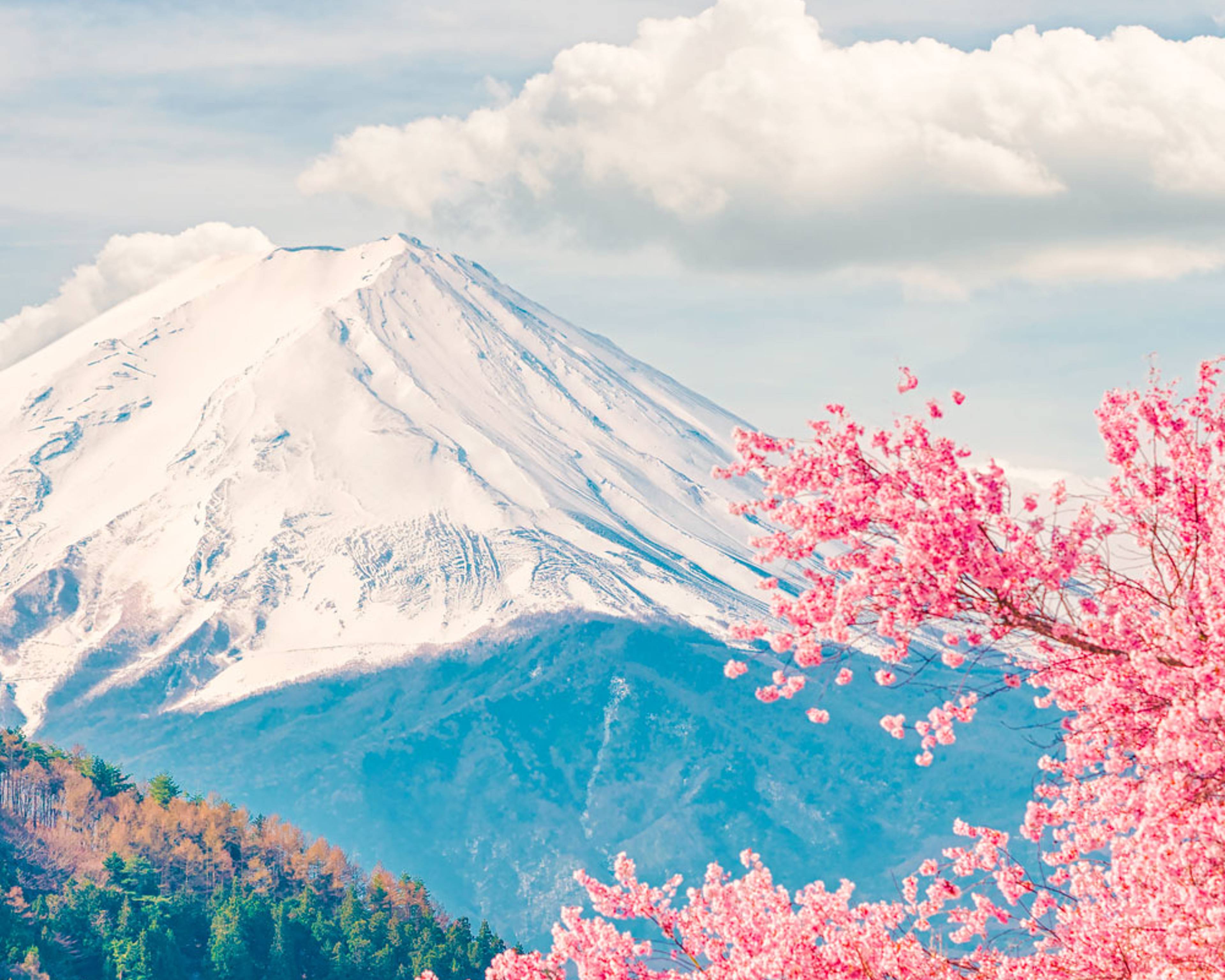 Primavera en Japón - Viajes en primavera 100% a medida