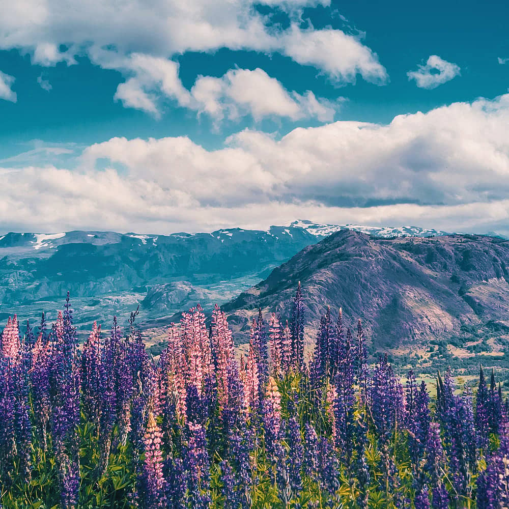 Crea tu viaje a Patagonia en primavera 100% a medida