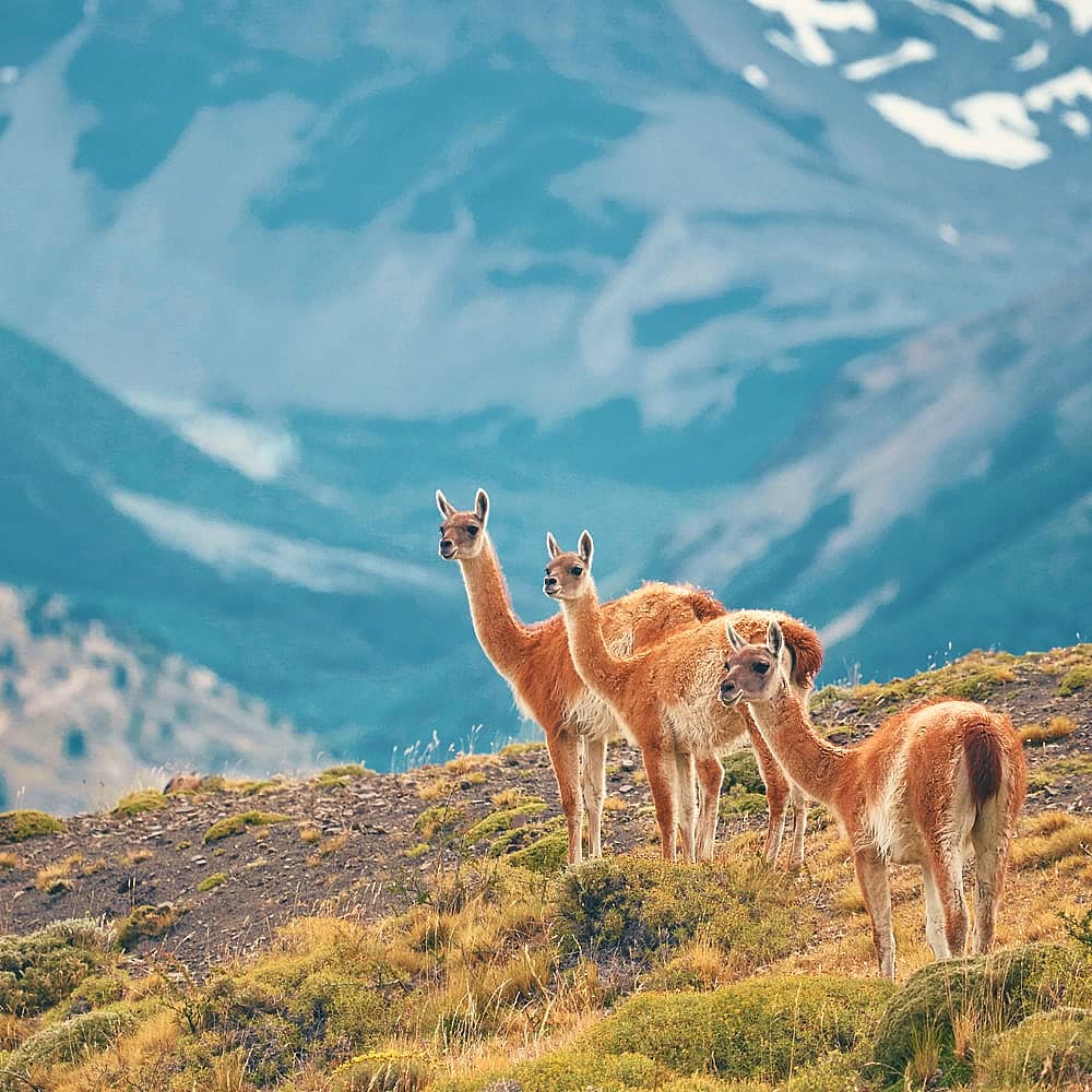Design your perfect nature trip with a local expert in Patagonia