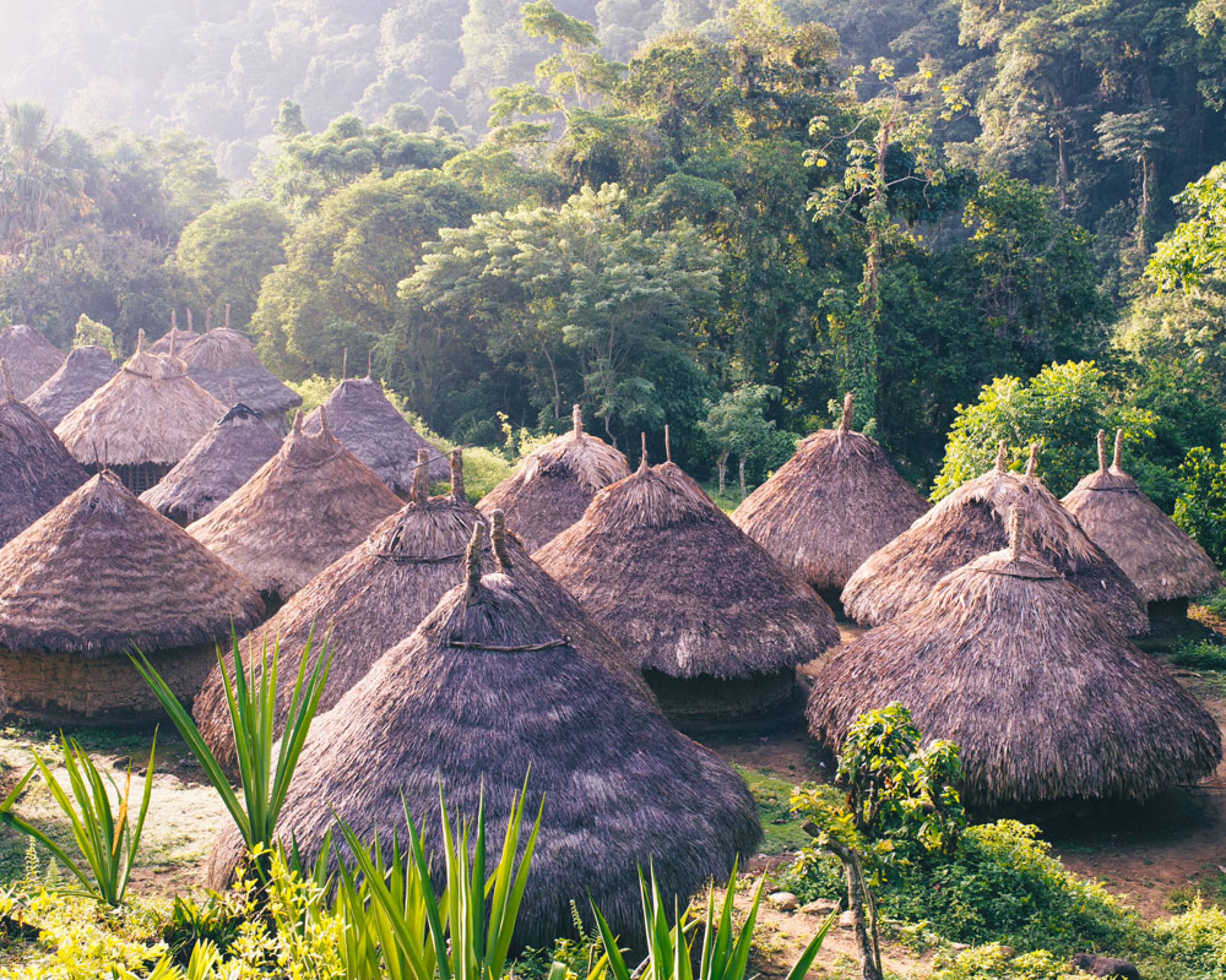 Experience Colombia off-the-beaten-track with a local expert