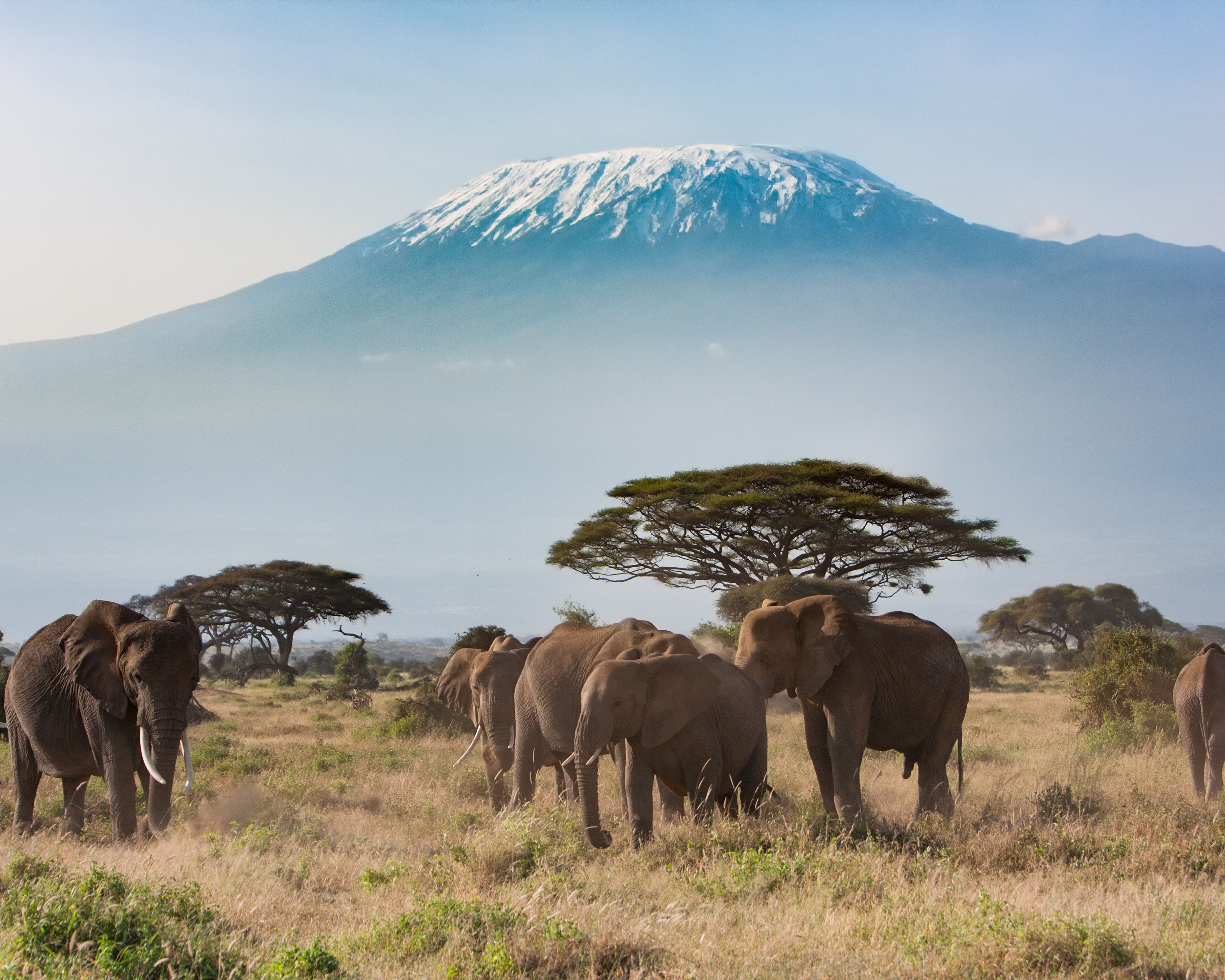 Tra il Kilimanjaro e l'Oceano Indiano