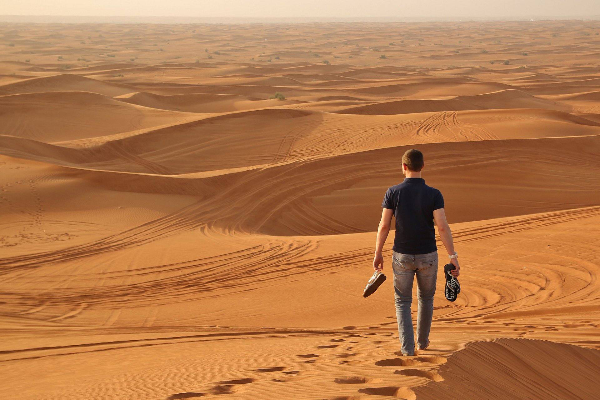 Oasis et traversée nomade aux portes du Sahara