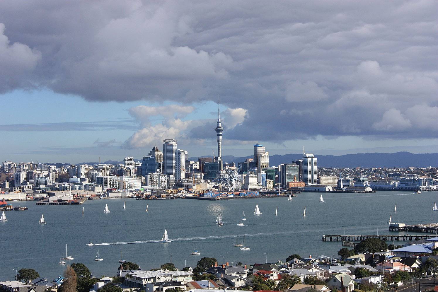 Auckland - eine kleine Stadt ganz groß! 