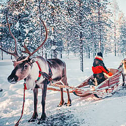 Votre voyage Hiver en Finlande à la demande