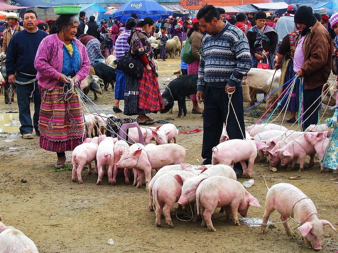 Visit San Francisco El Alto in a tailor made tour Evaneos