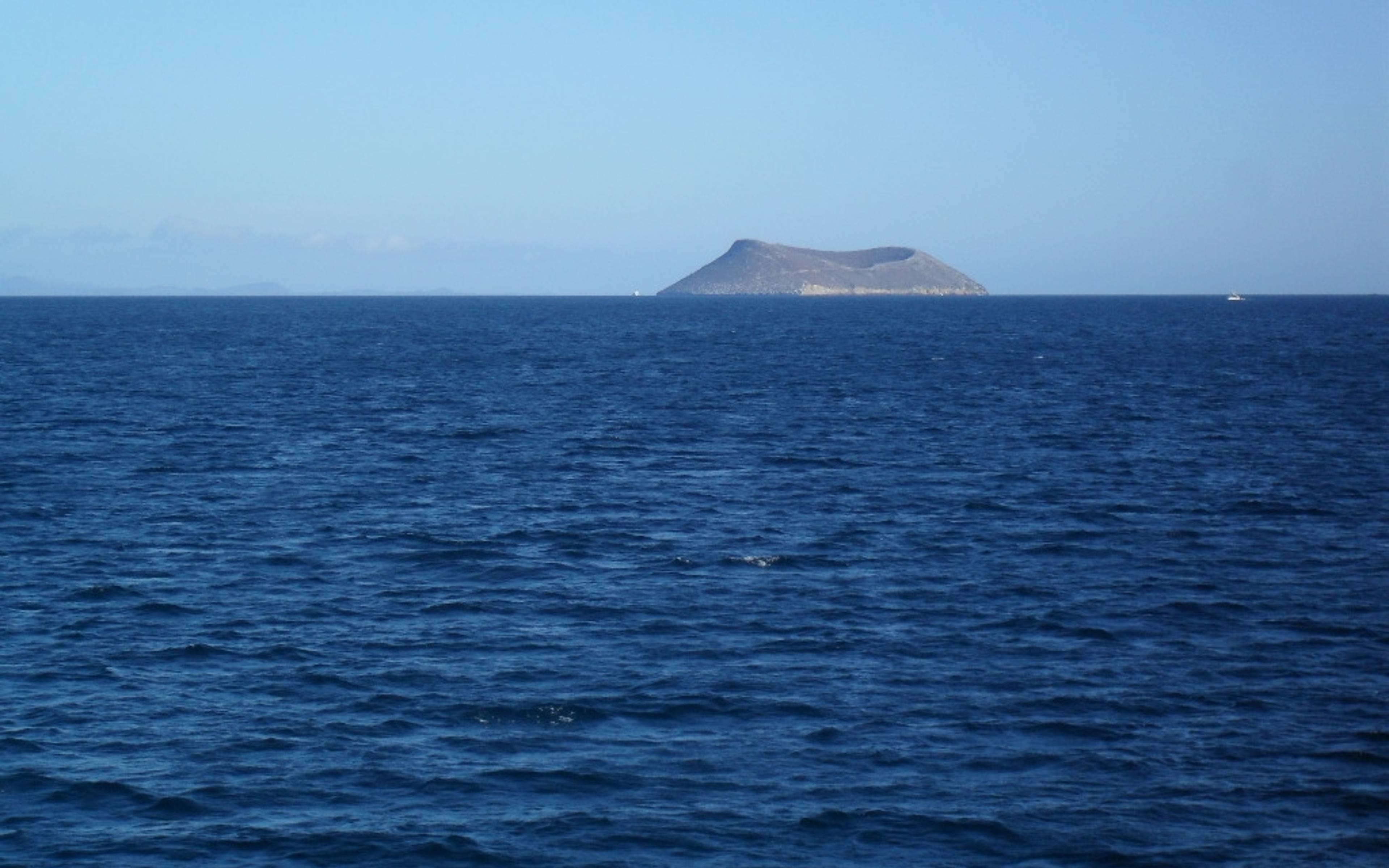 Snorkeling tra le Isole di Daphne e Pinzon