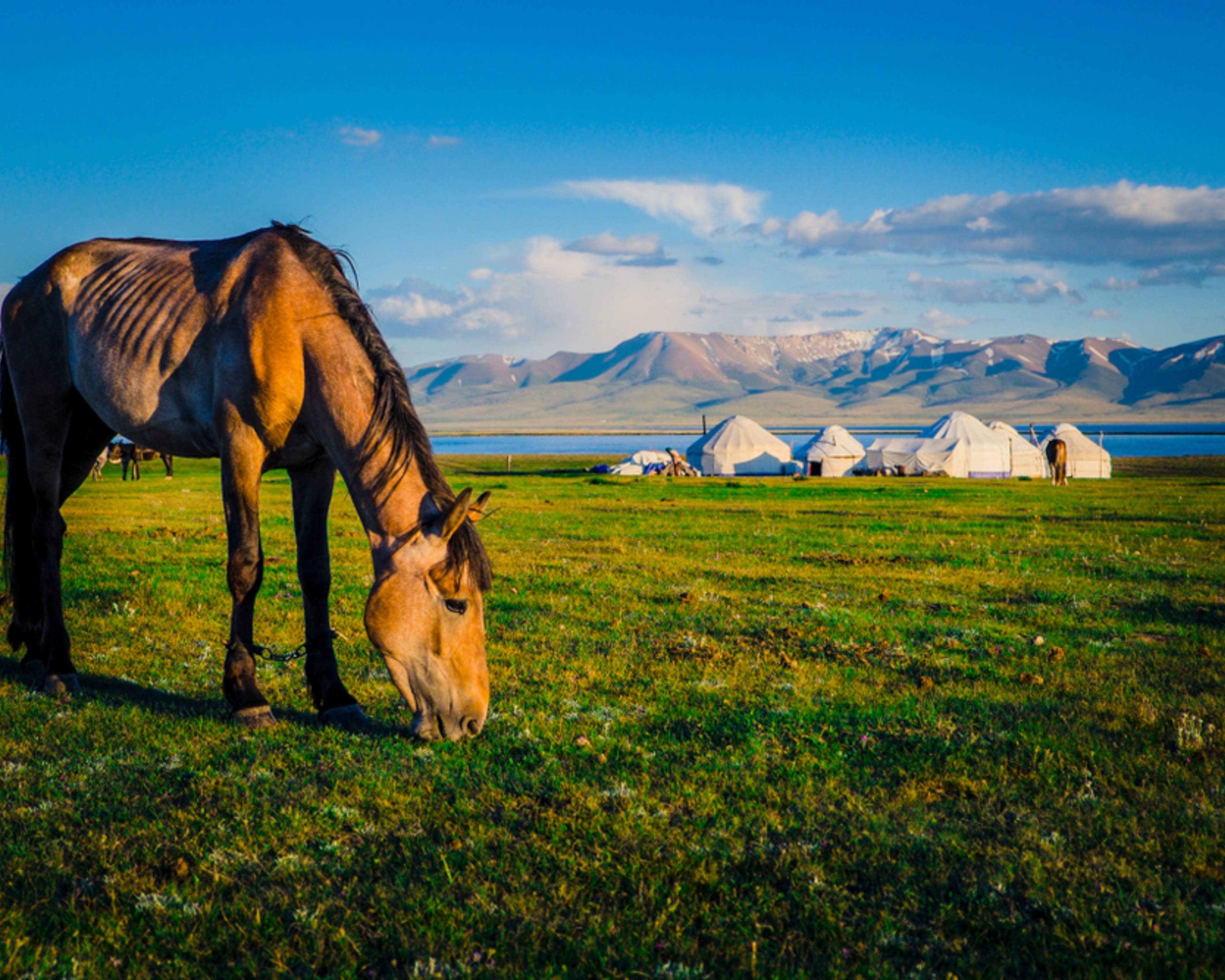 Explorando Kirguistán y Tayikistán