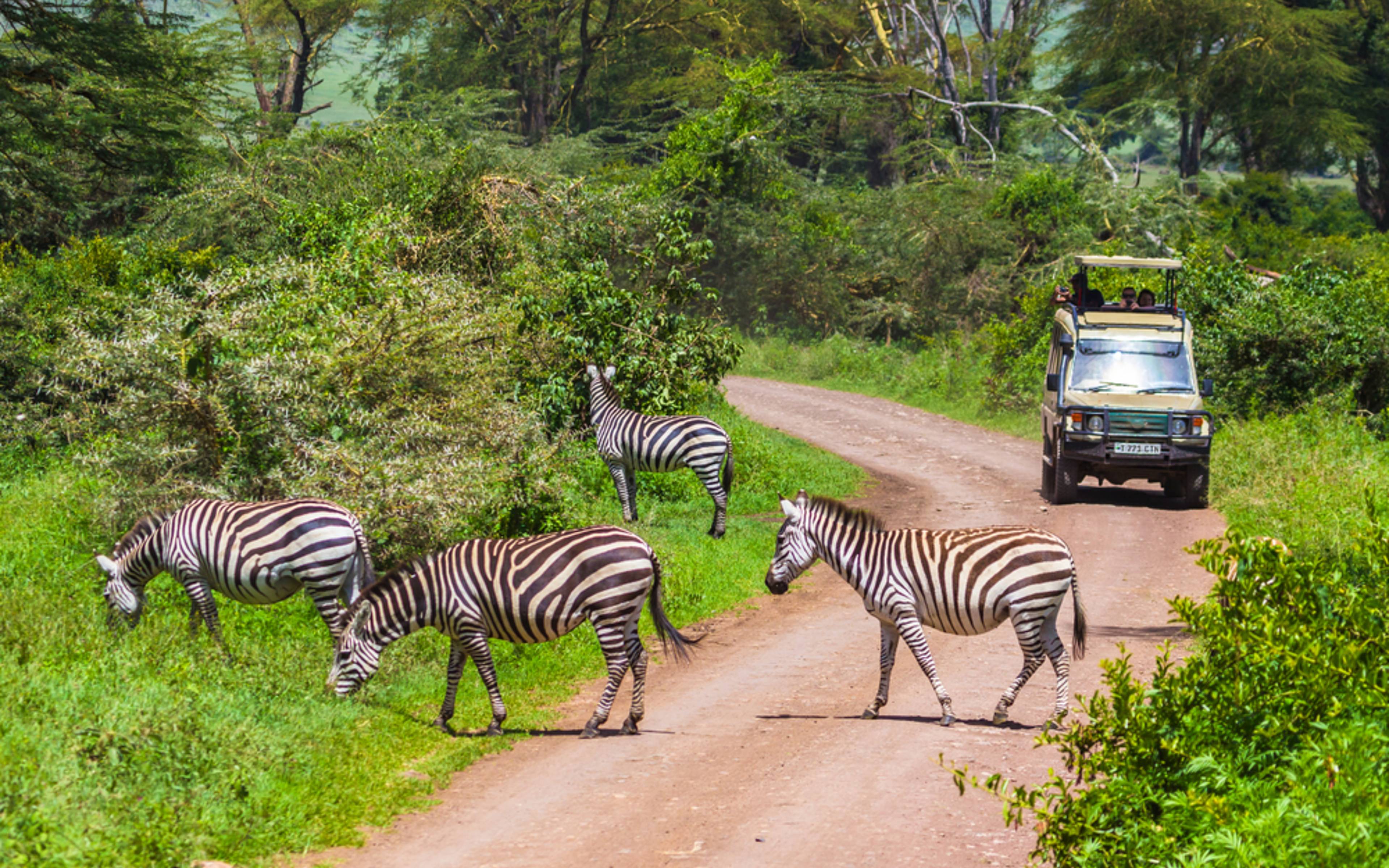 Pirschfahrt und Kanutour im Arusha National Park