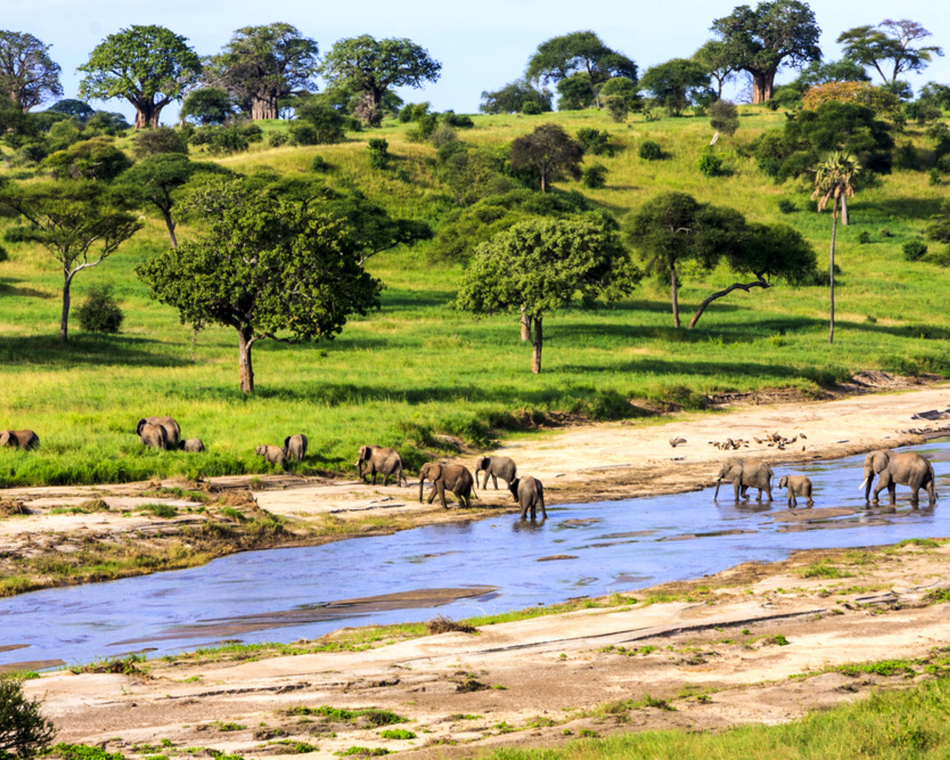 Les grands parcs du Kenya et de la Tanzanie en safari