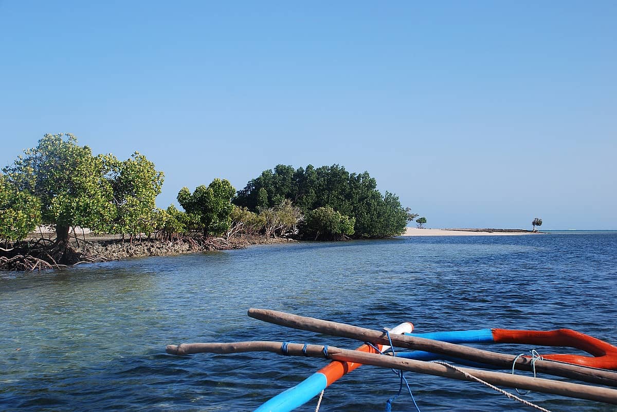 In piroga tra le mangrove di Nosy Satrana