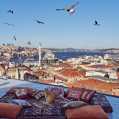 Les merveilles d'Istanbul - 
