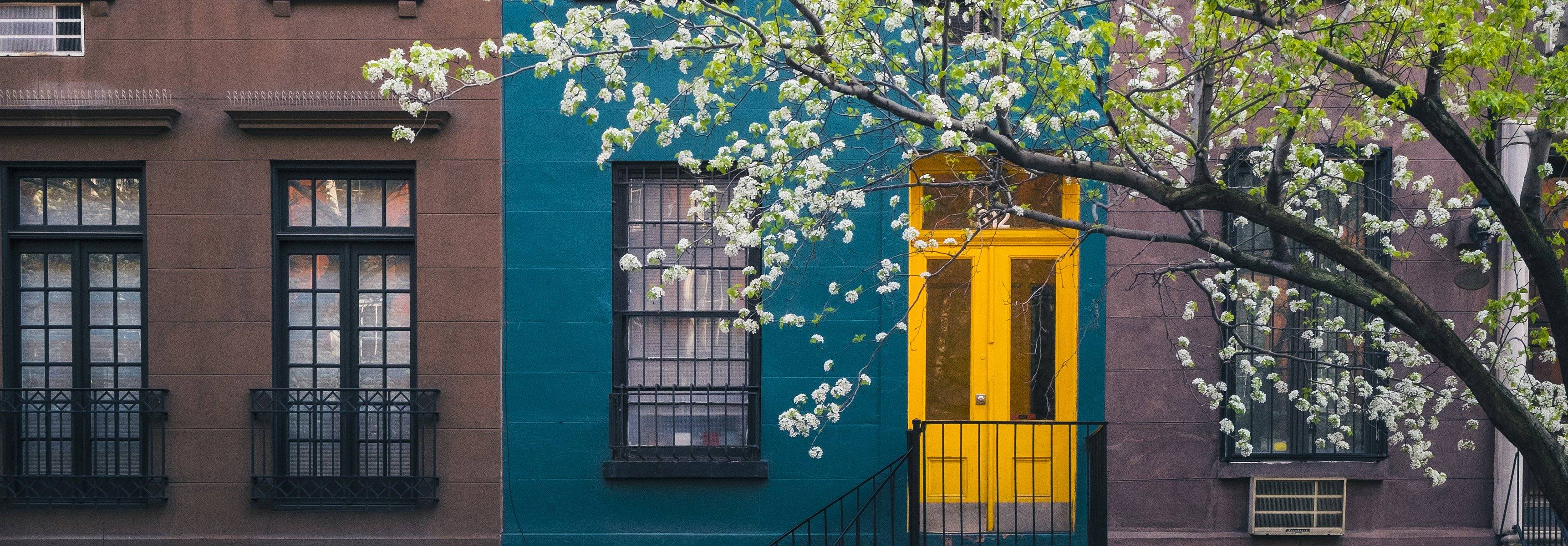 Blühender Baum nahe einem alten Wohnhaus, Manhattan, N.