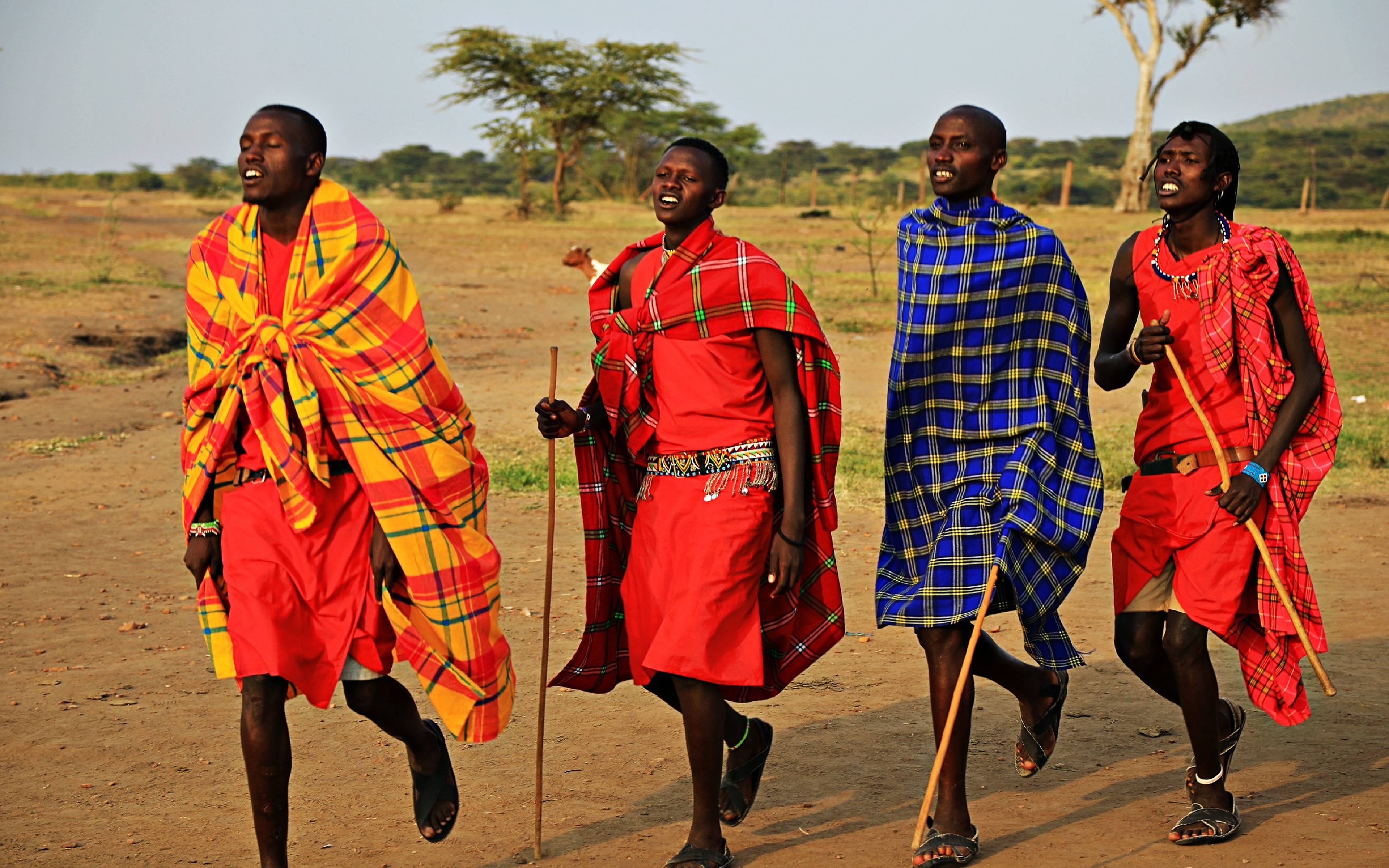 Fahrt in die Masai Mara zur Beobachtung der Migration