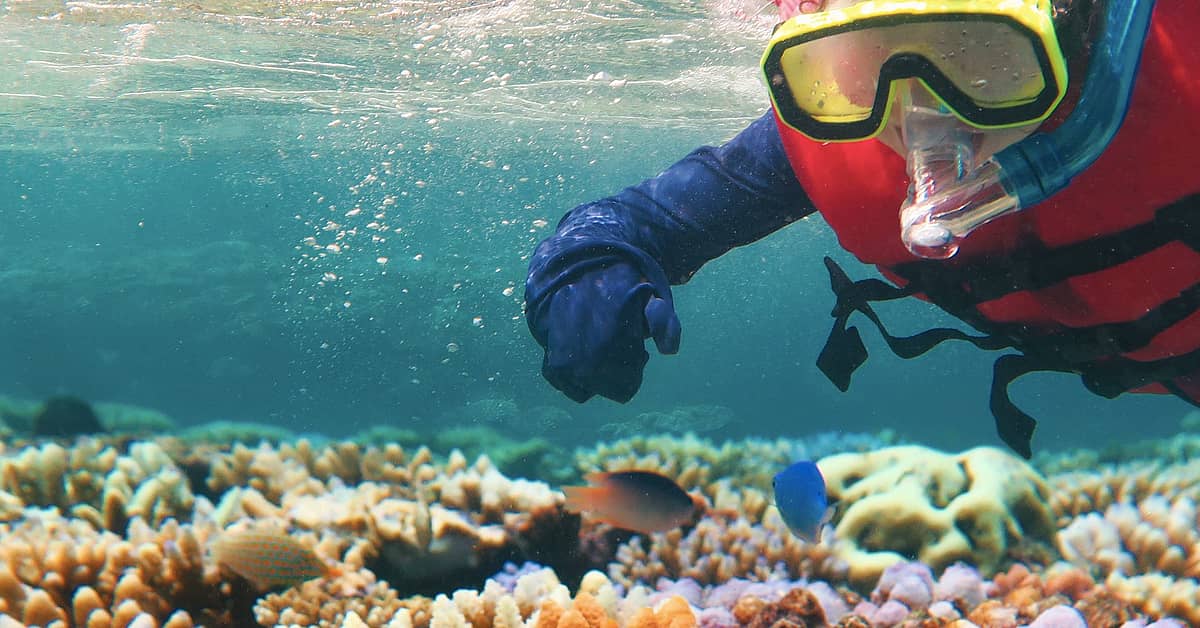 Un viaggio di nozze nel Mar dei Coralli in Australia 