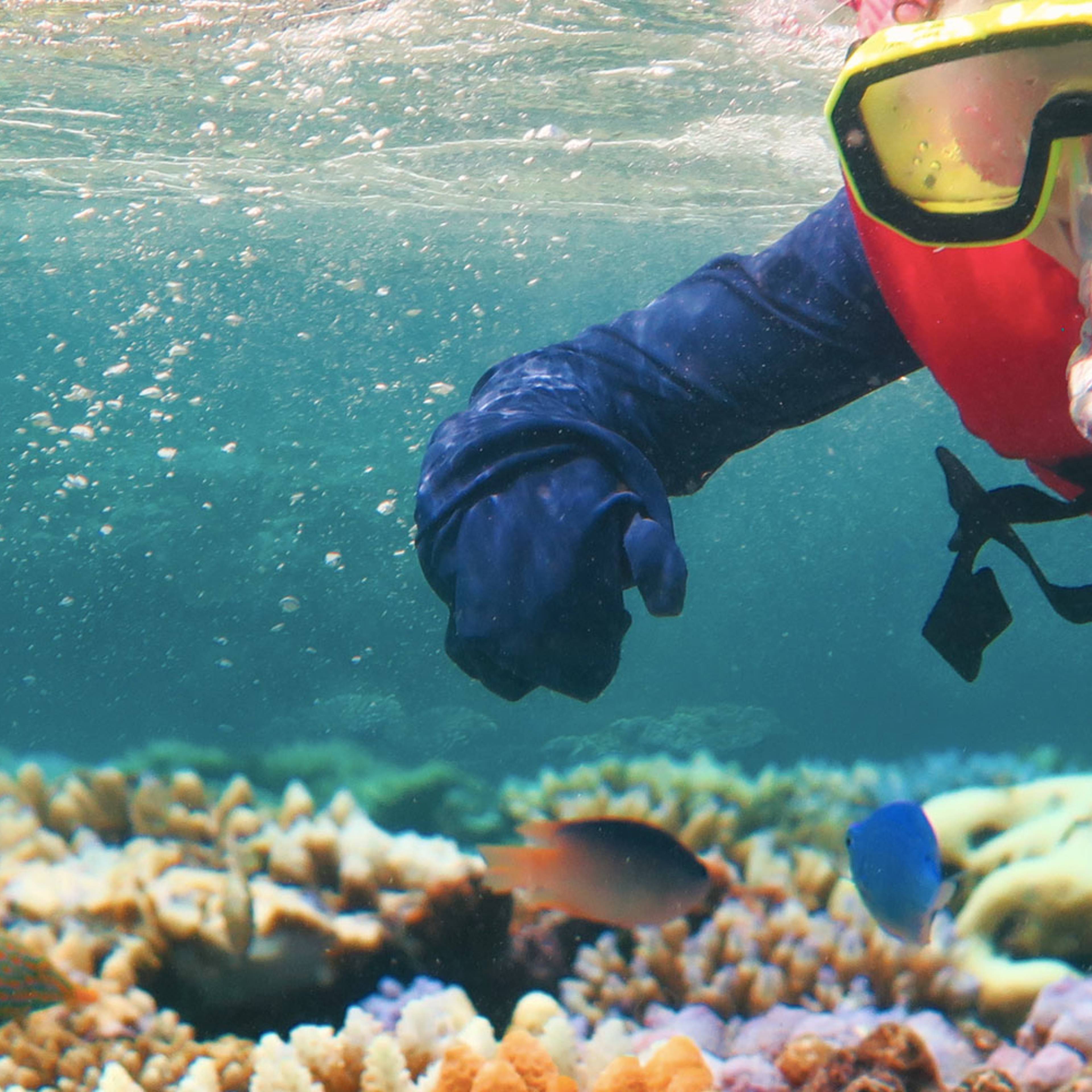 Snorkeling e immersioni in Australia