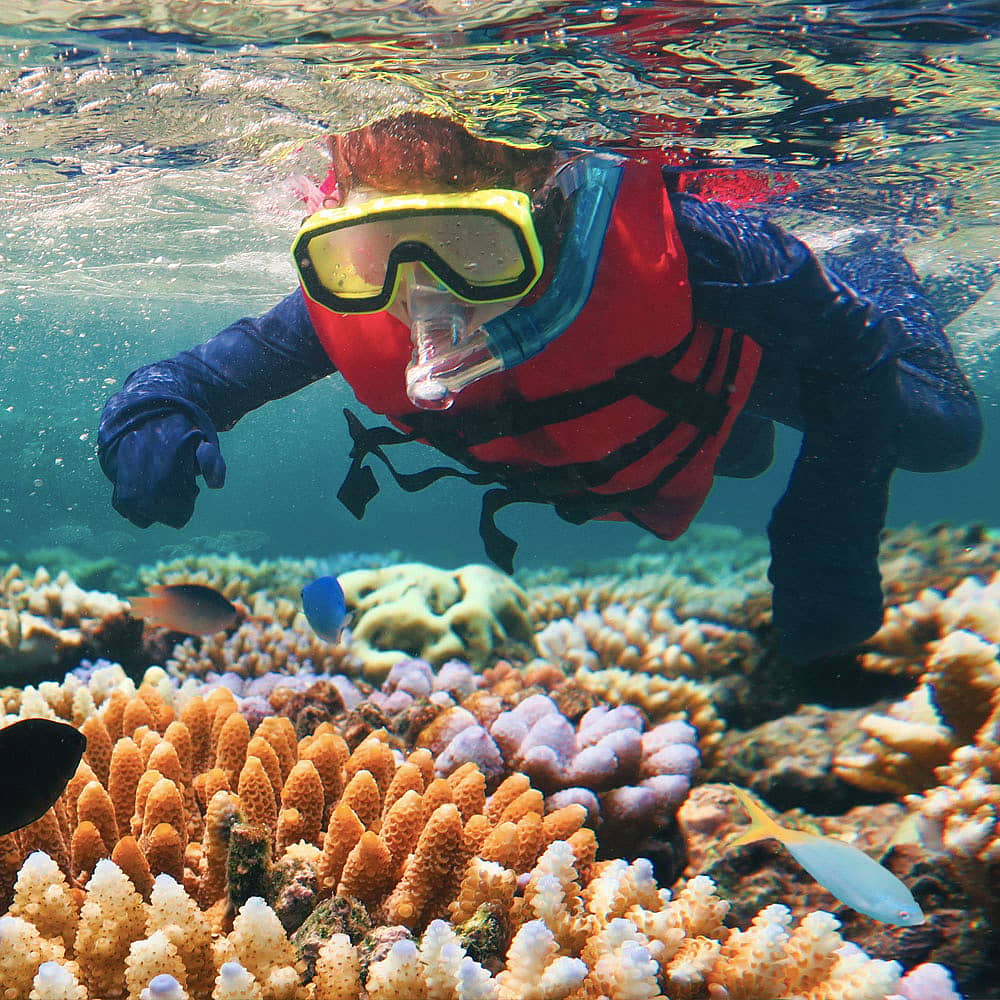 Snorkeling e immersioni in Australia - Viaggi e Tour su Misura