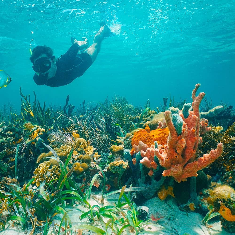 Crea il tuo viaggio per fare snorkeling e immersioni a Panama, 100% su misura