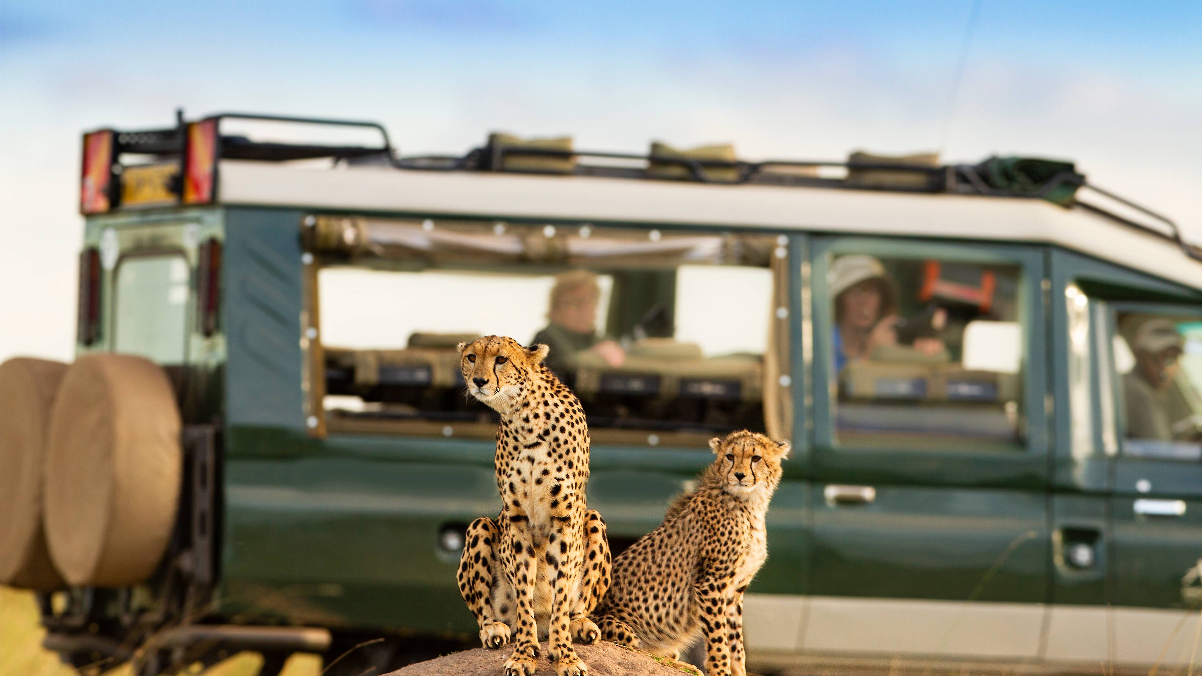 Safari tra Kenya e Tanzania
