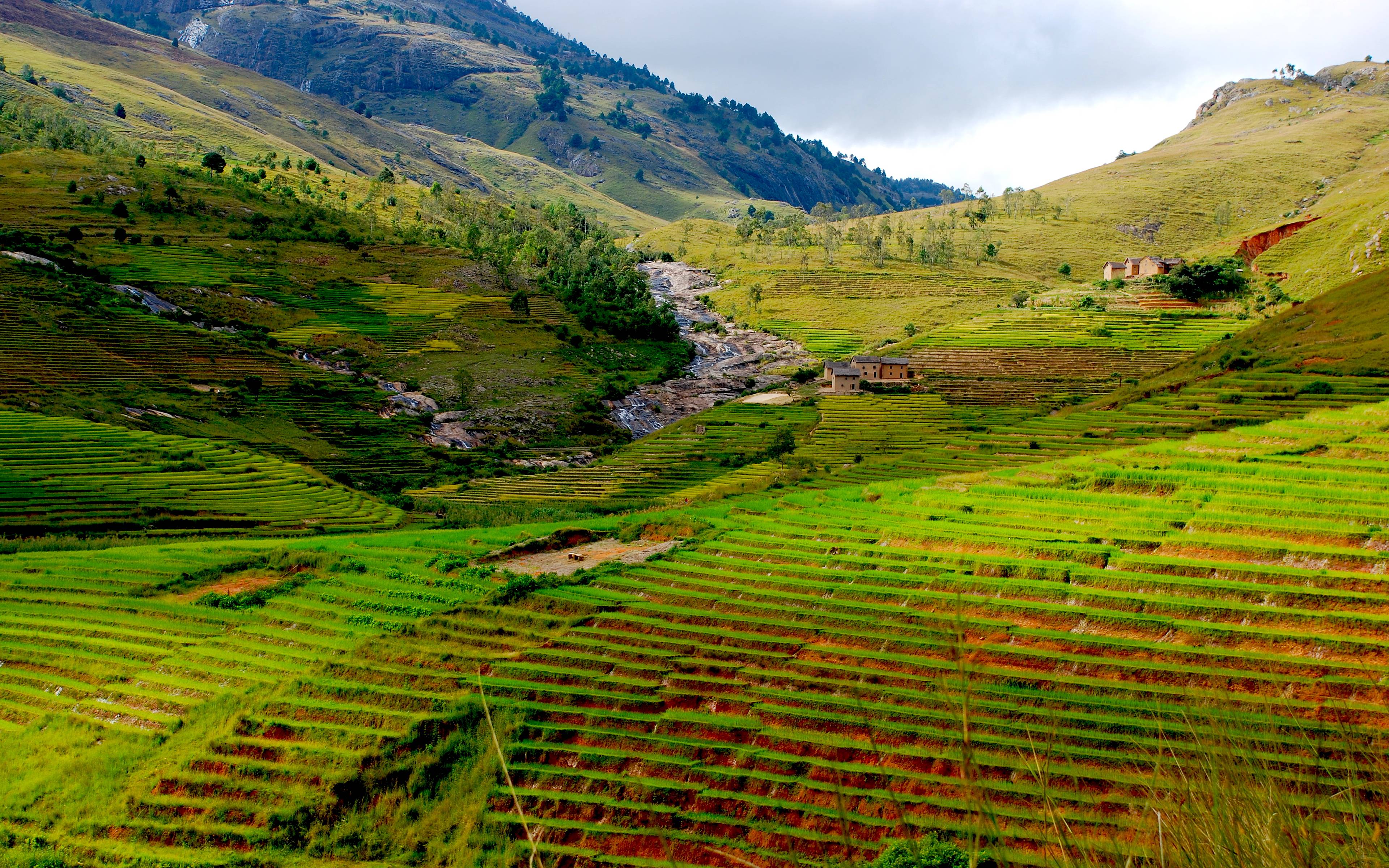 Le risaie di Fianarantsoa