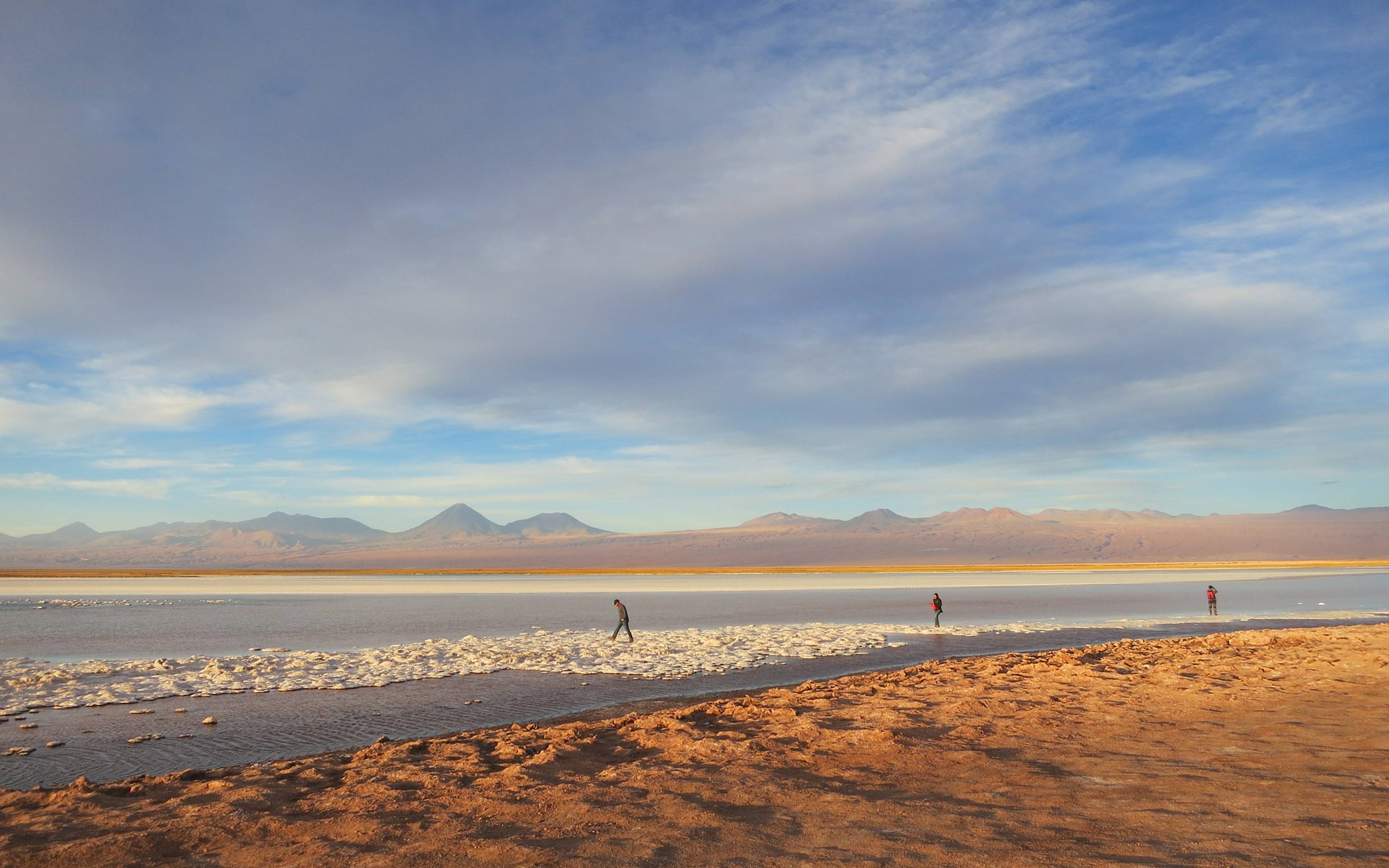 Le désert d'Atacama: Salar et lagunes.